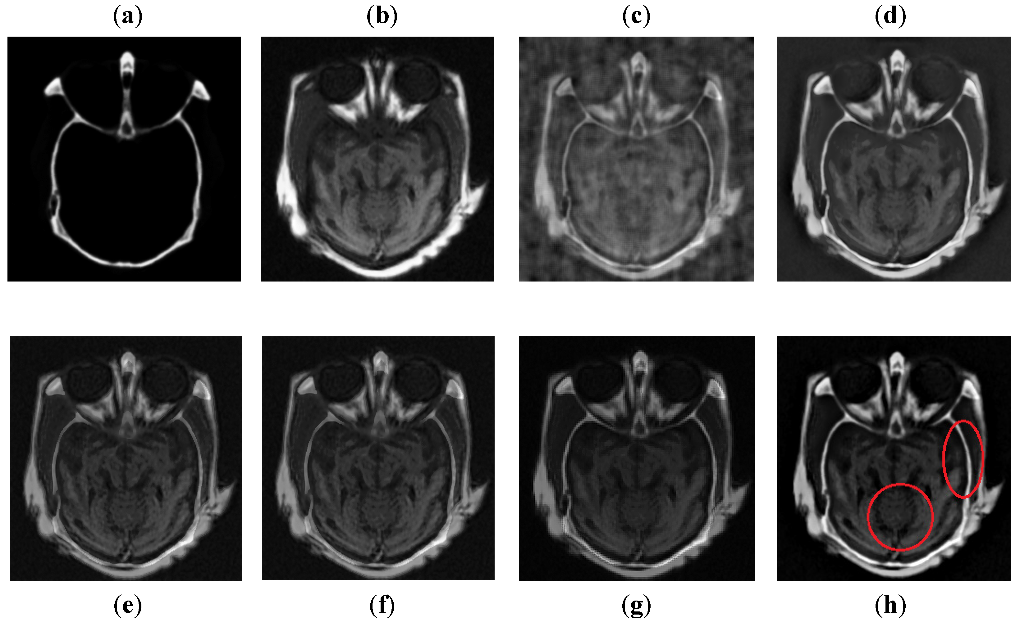 Entropy 24 00393 g007 550