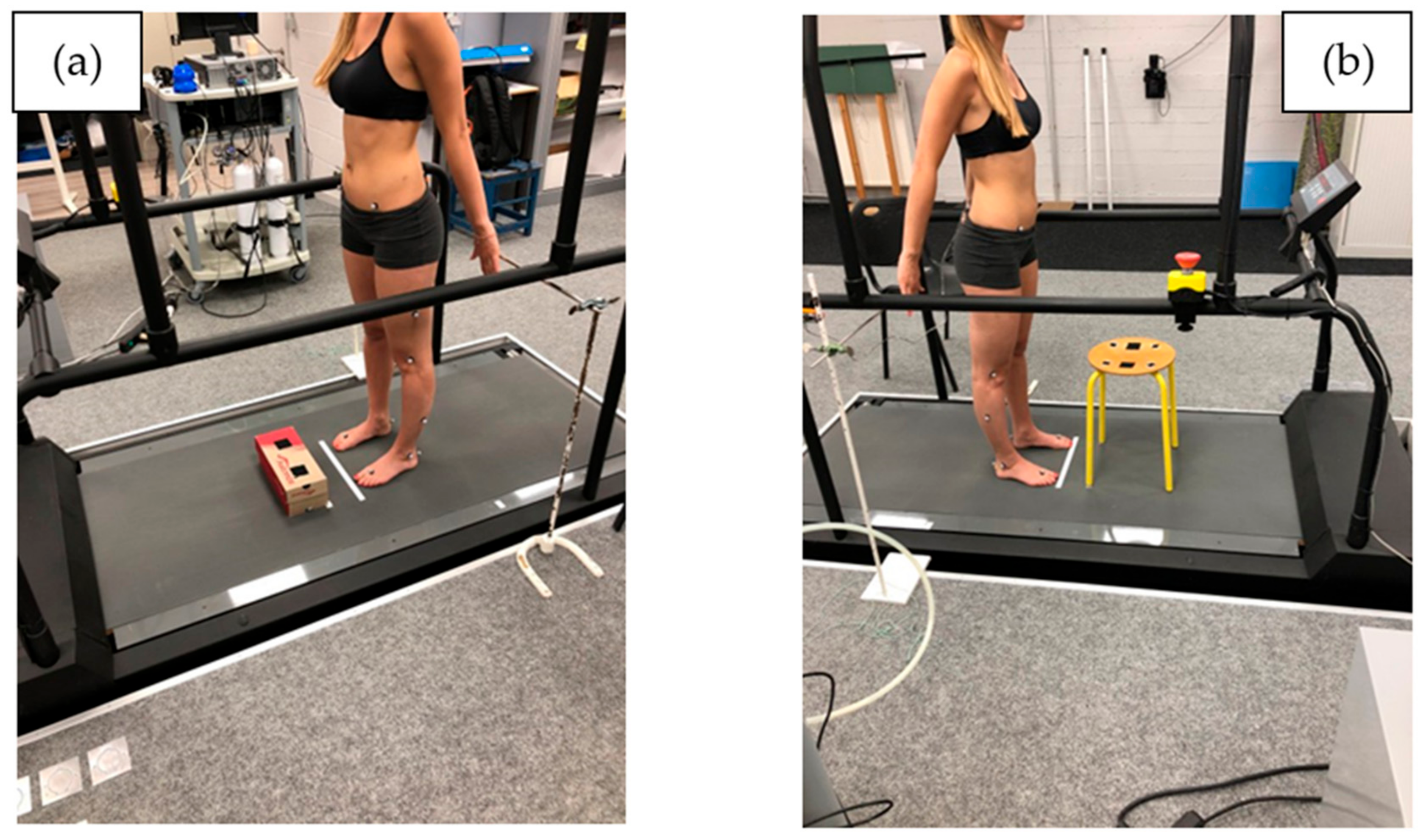 Entropy 24 00437 g002 550