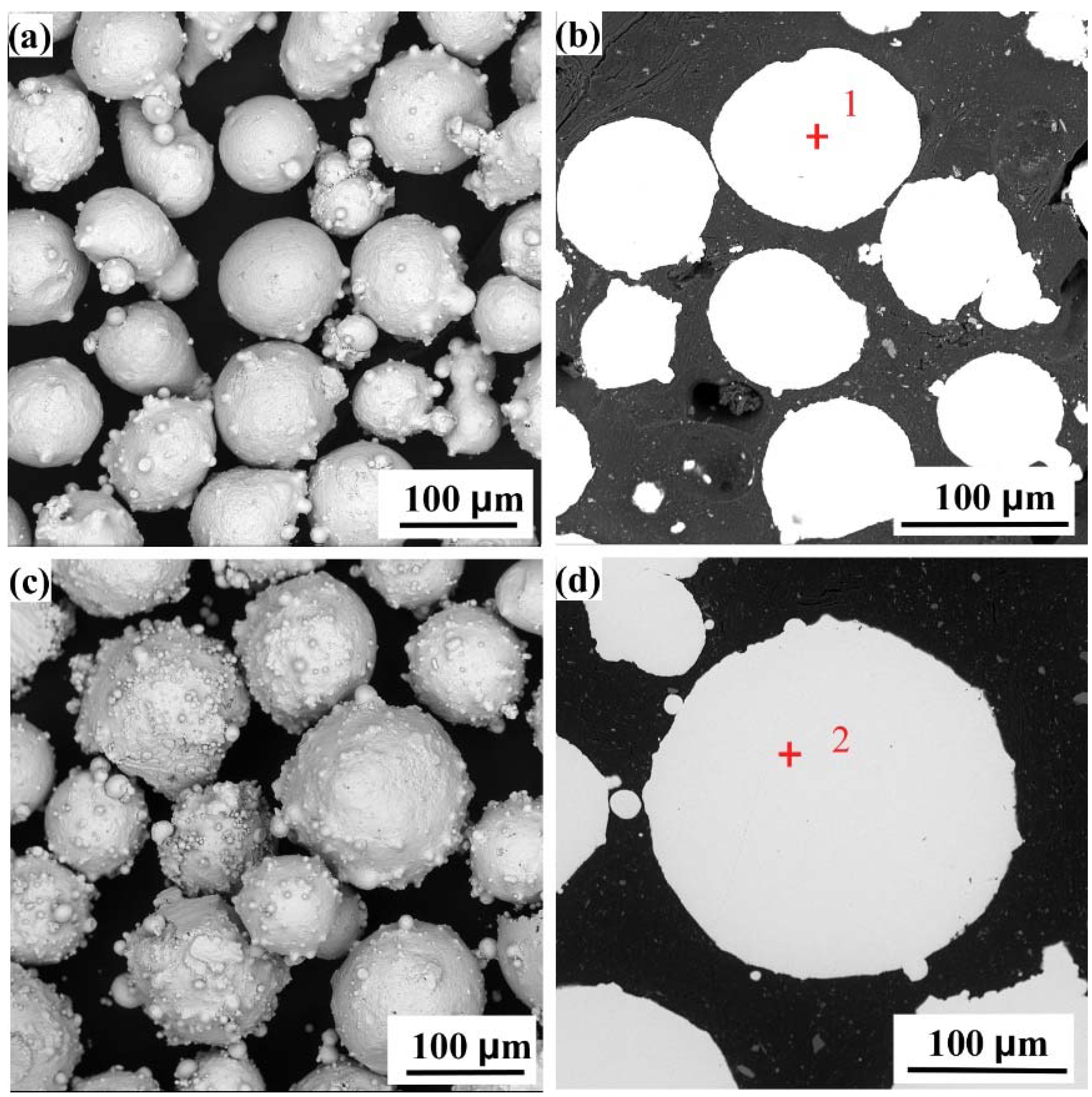 Entropy 24 00539 g002
