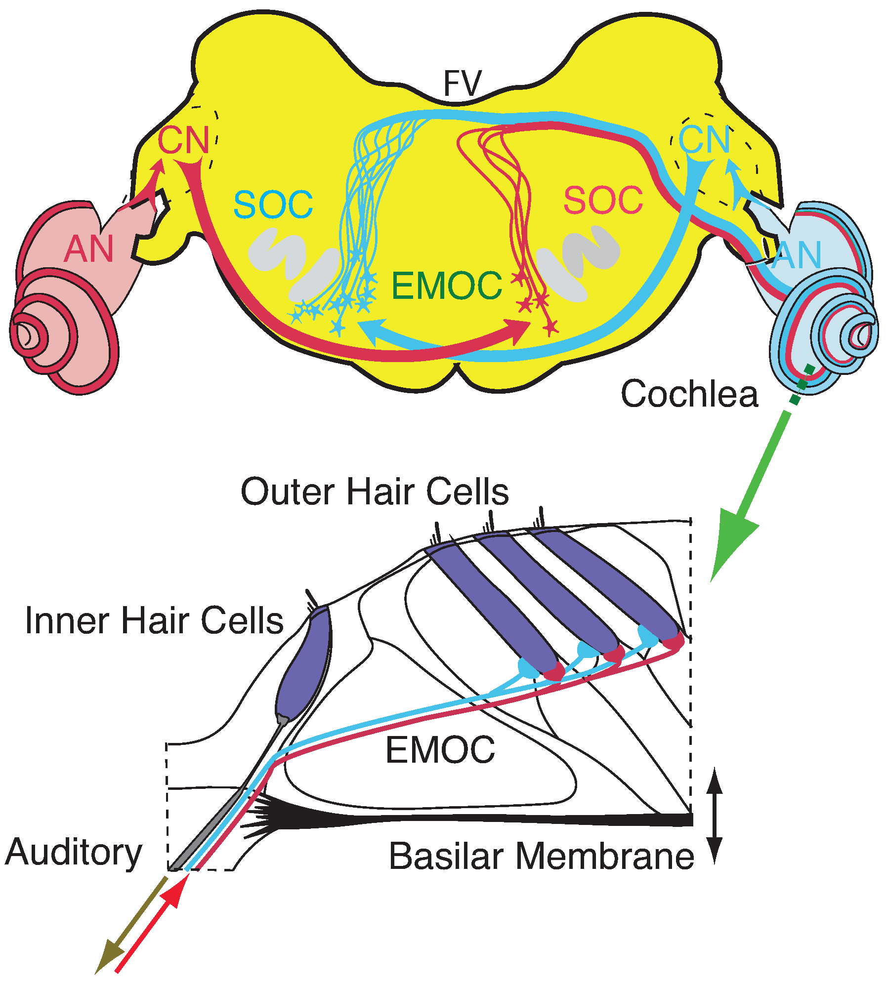 Entropy 24 00540 g001