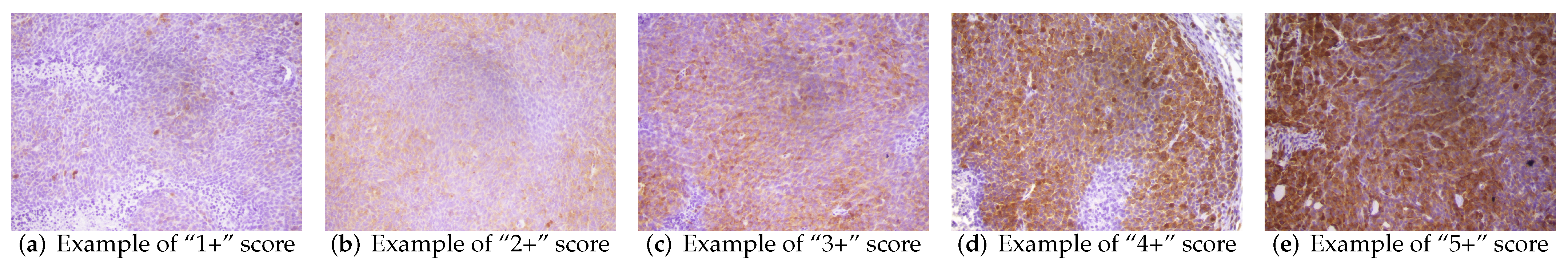 Entropy 24 00546 g001