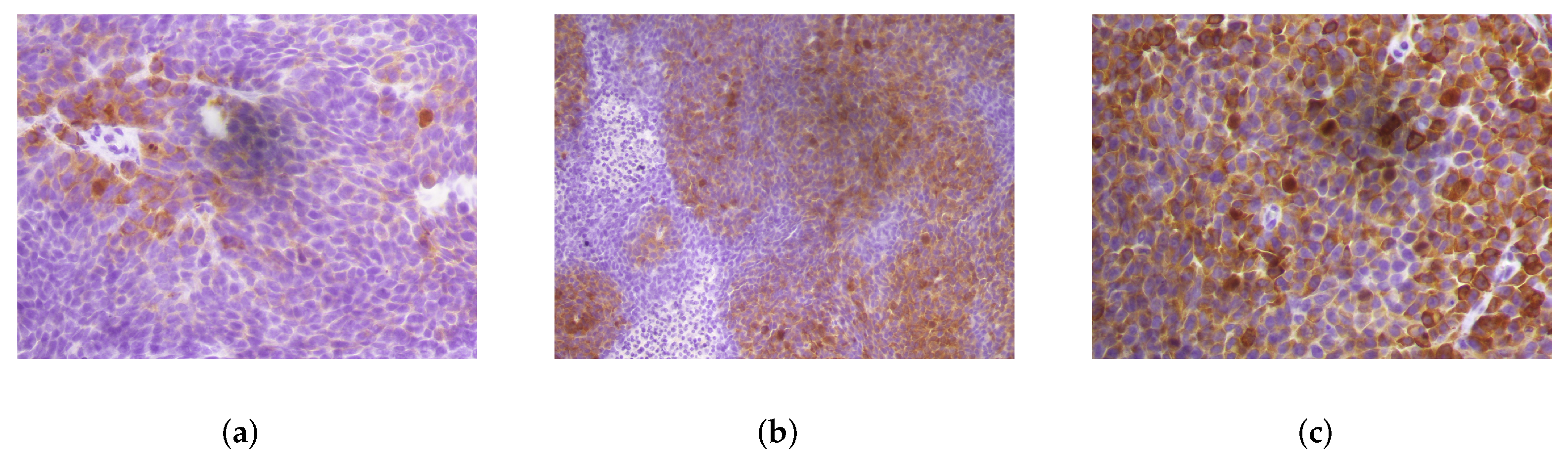 Entropy 24 00546 g002