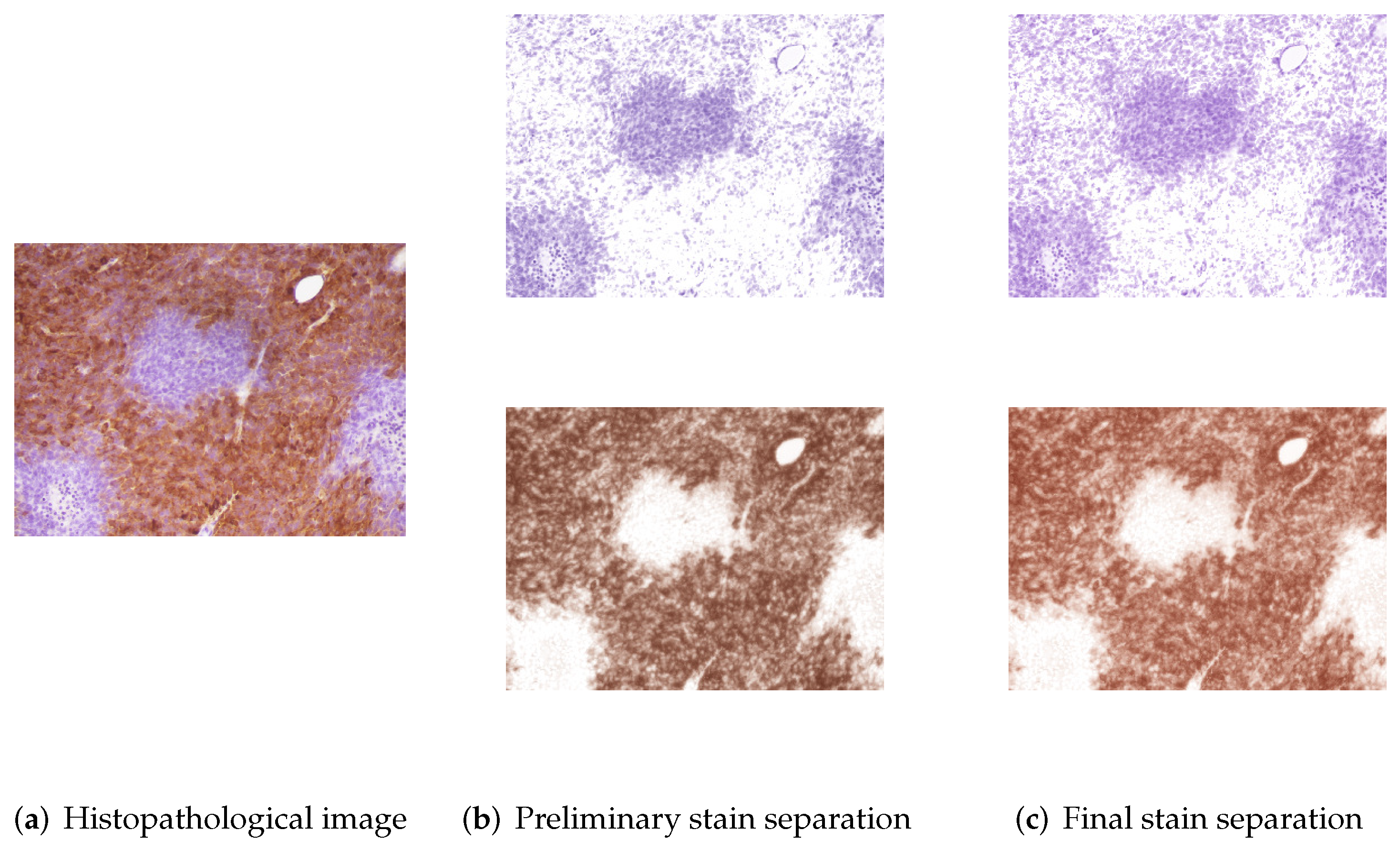 Entropy 24 00546 g004