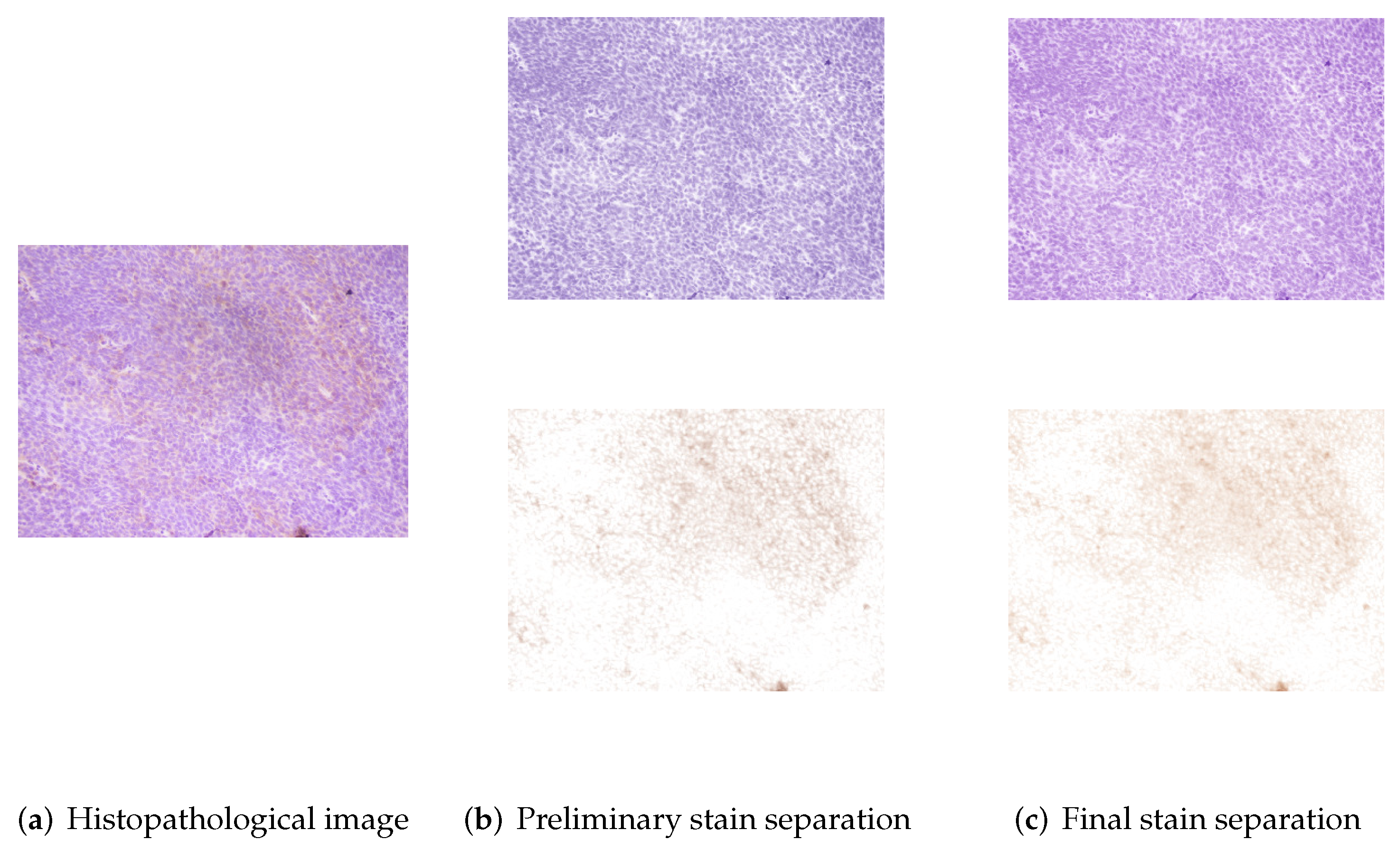 Entropy 24 00546 g005