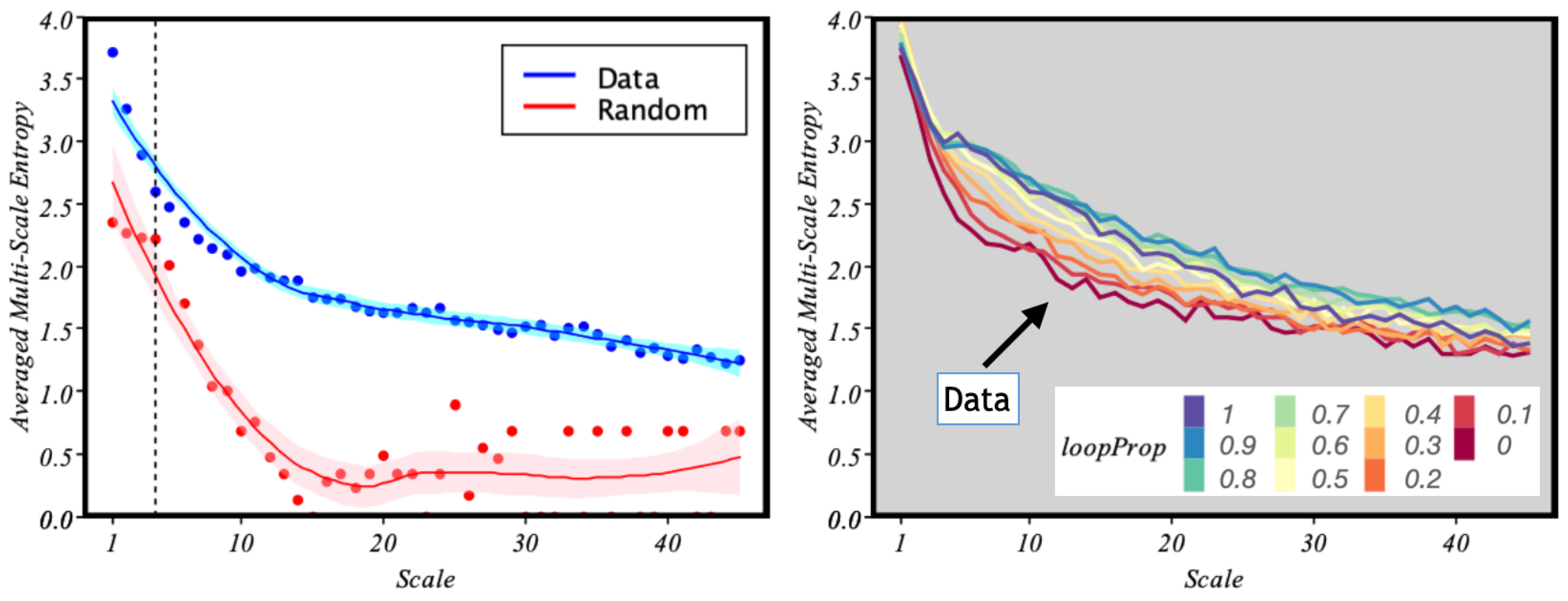 Entropy 24 00606 g006 550