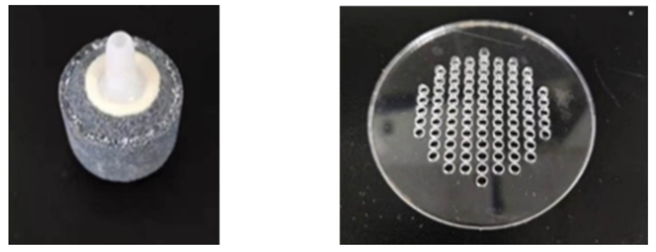 Entropy 24 00624 g015