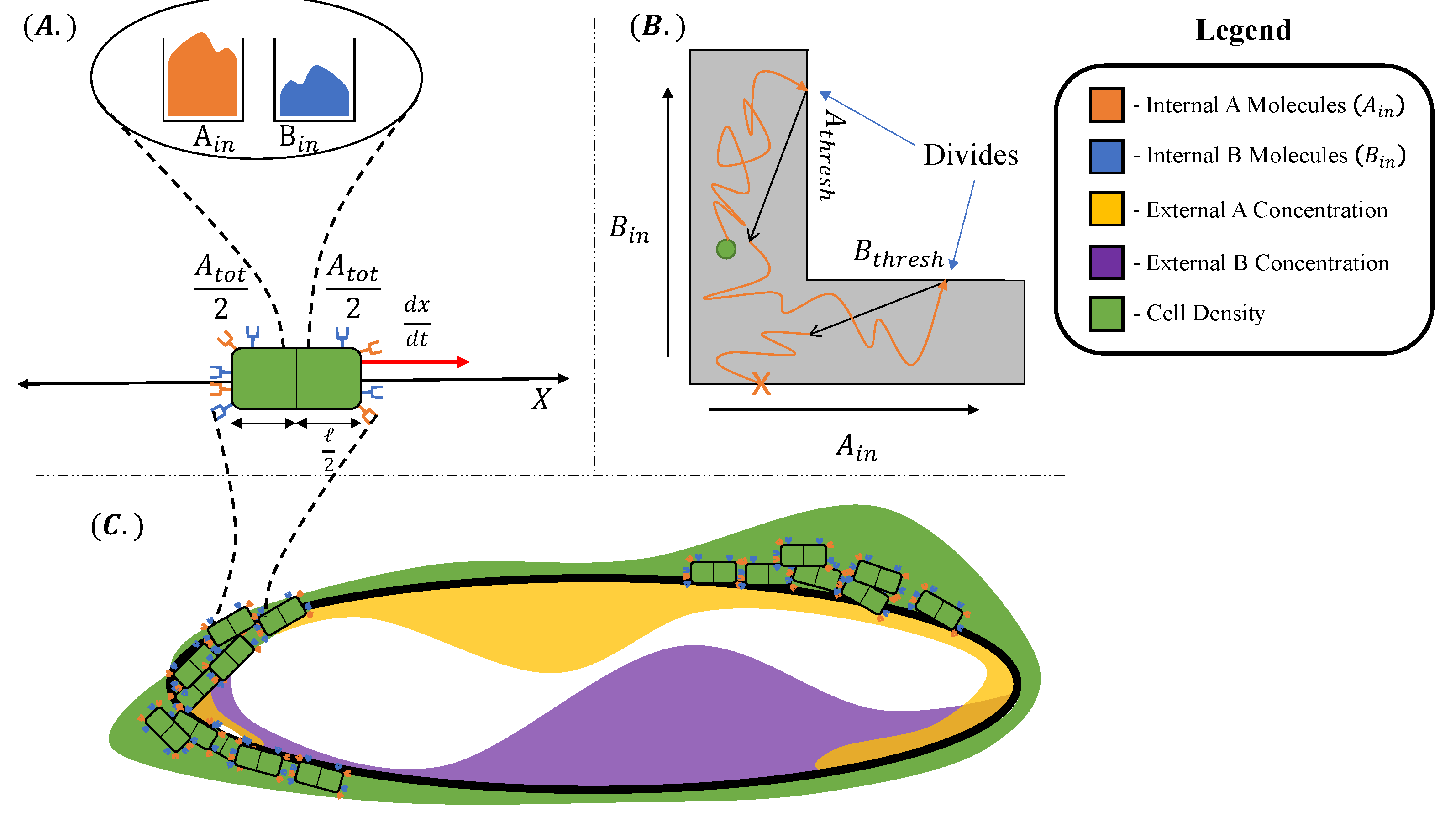 Entropy 24 00639 g001