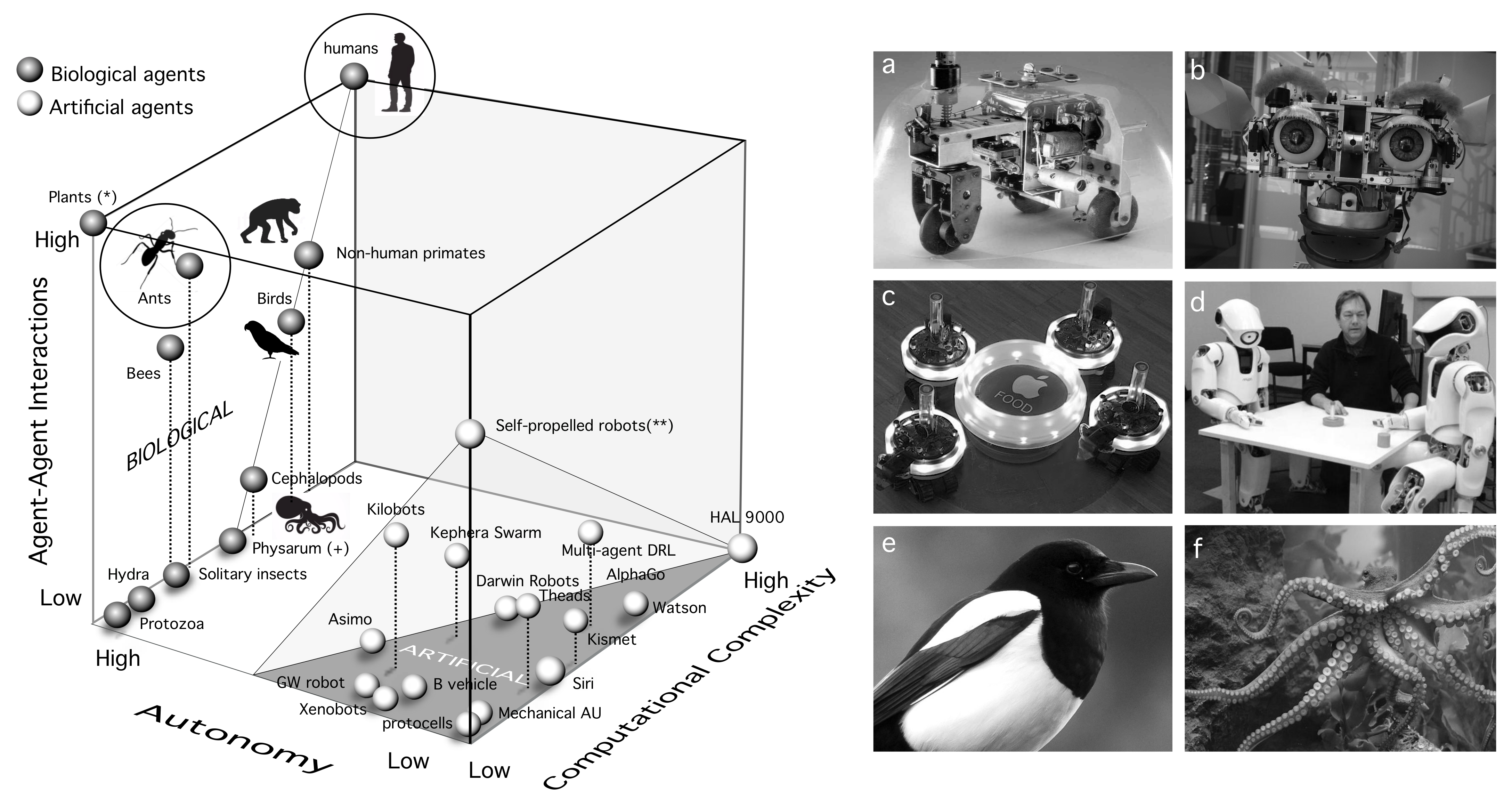 Entropy 24 00665 g004