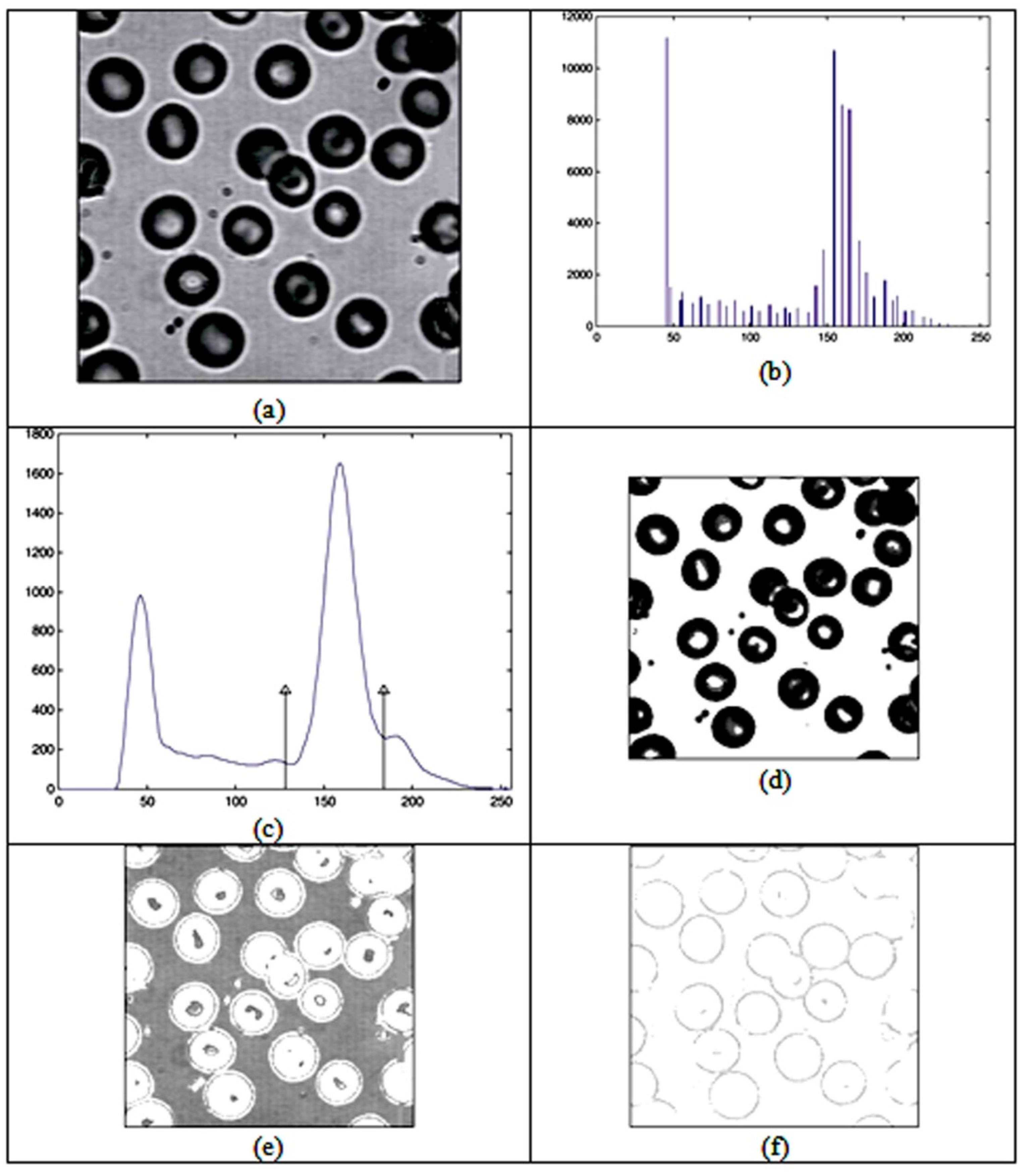 Entropy 24 00675 g002 550