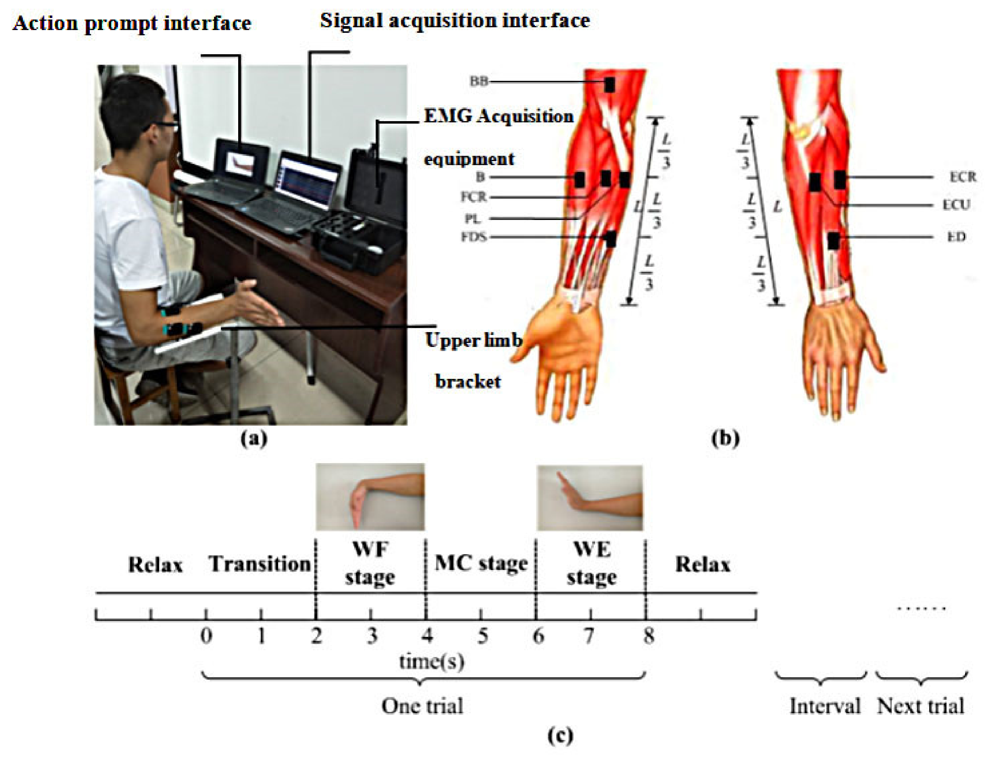 Entropy 24 00707 g001 550