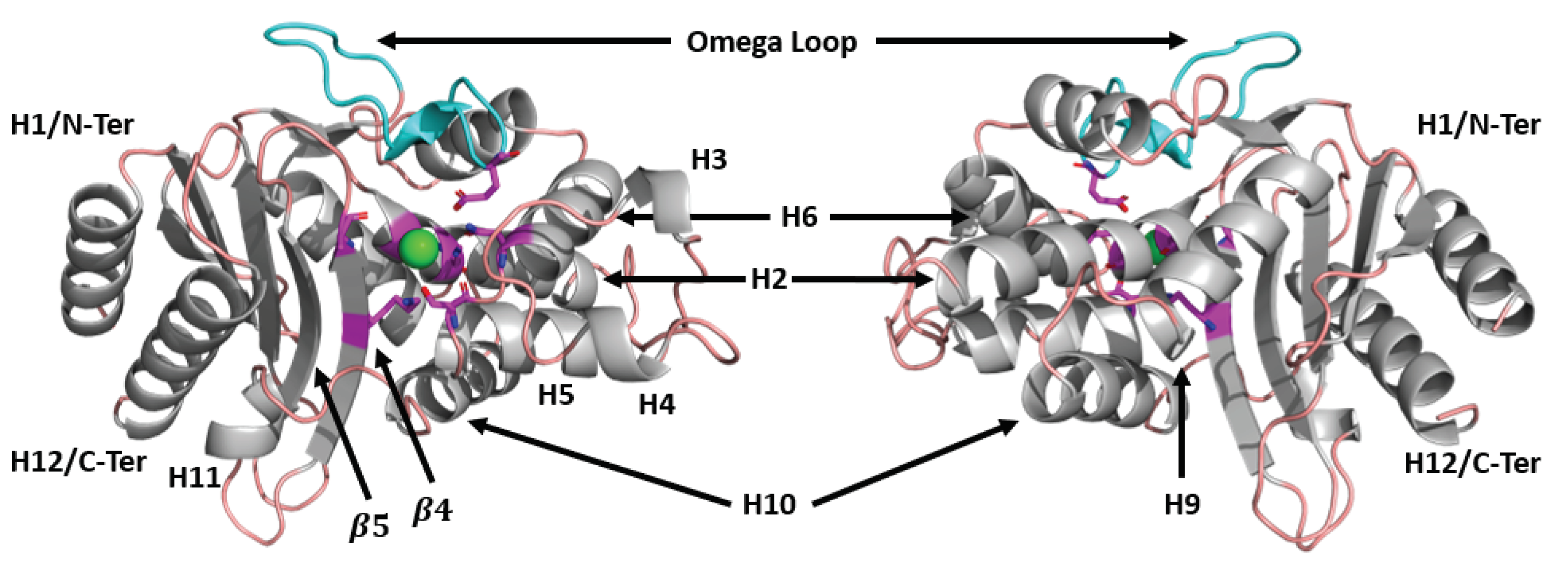 Entropy 24 00729 g001