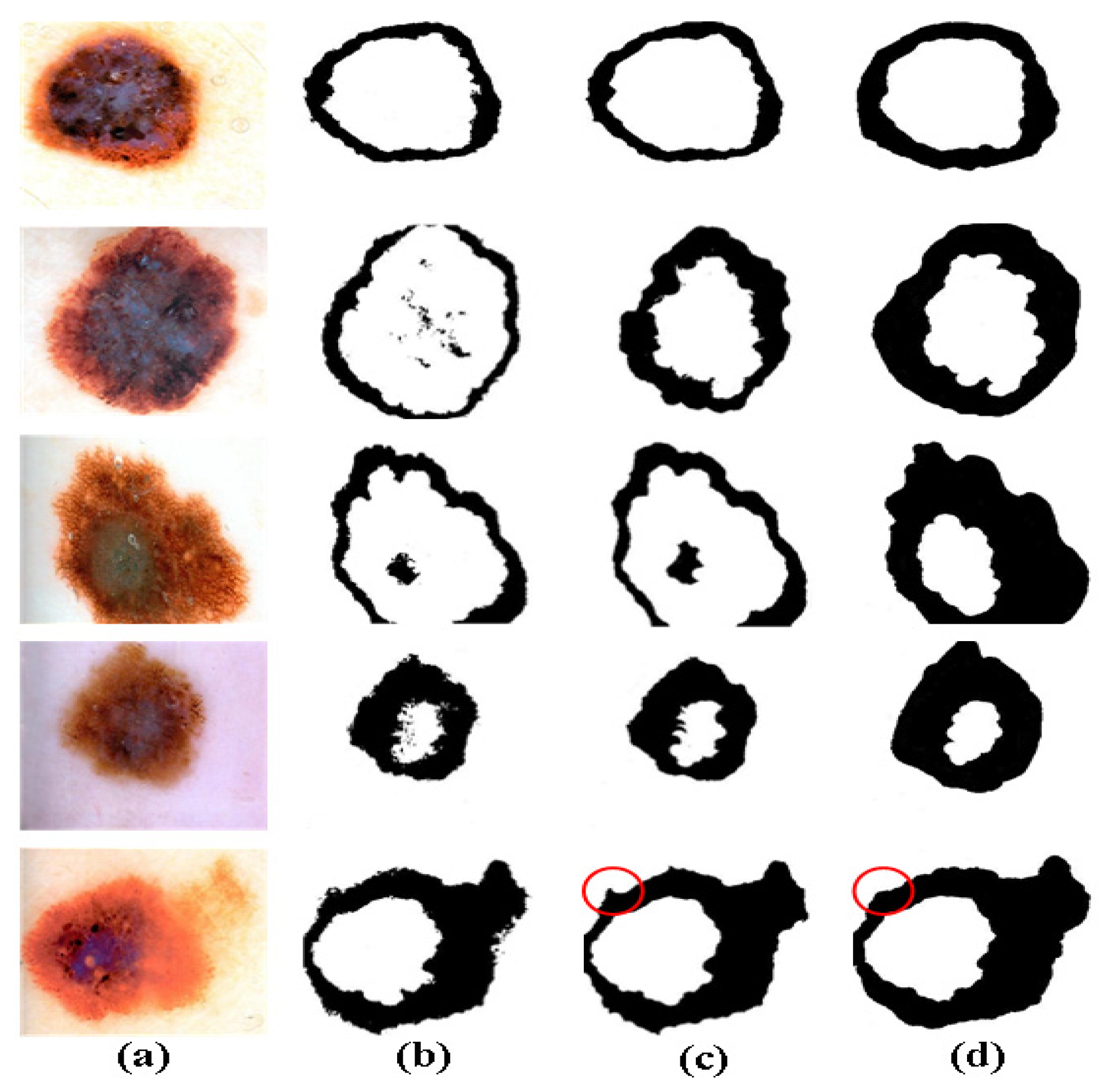 Entropy 24 00783 g010