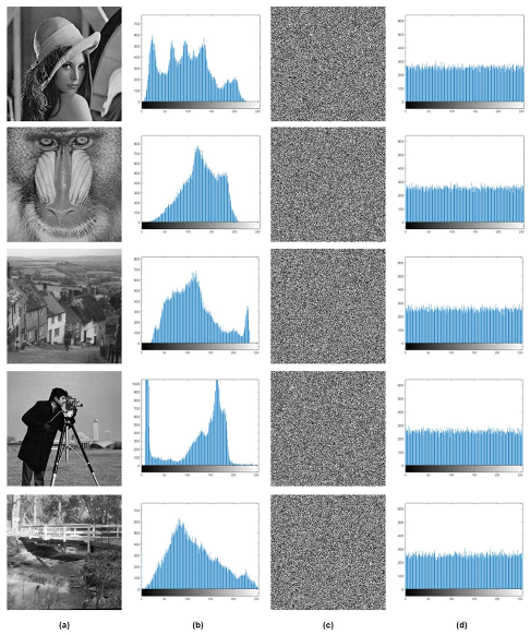 Entropy 24 00803 g015