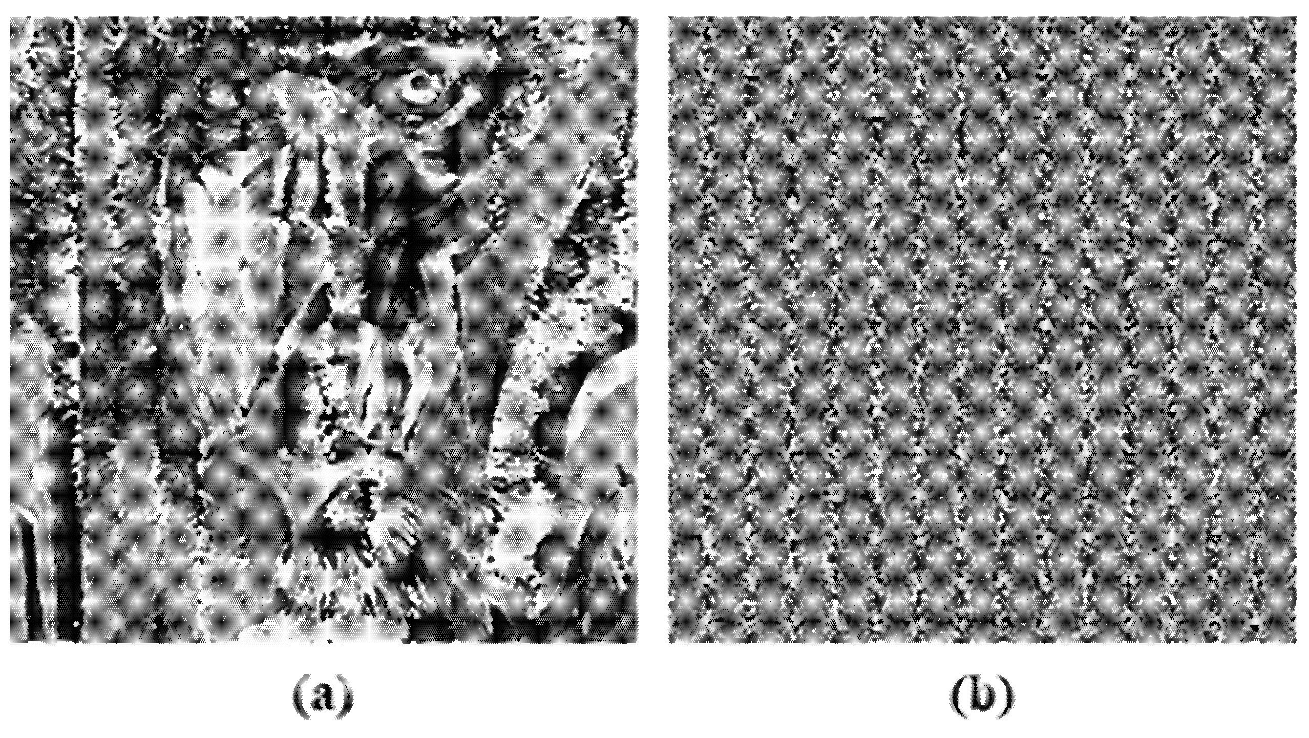 Entropy 24 00803 g021