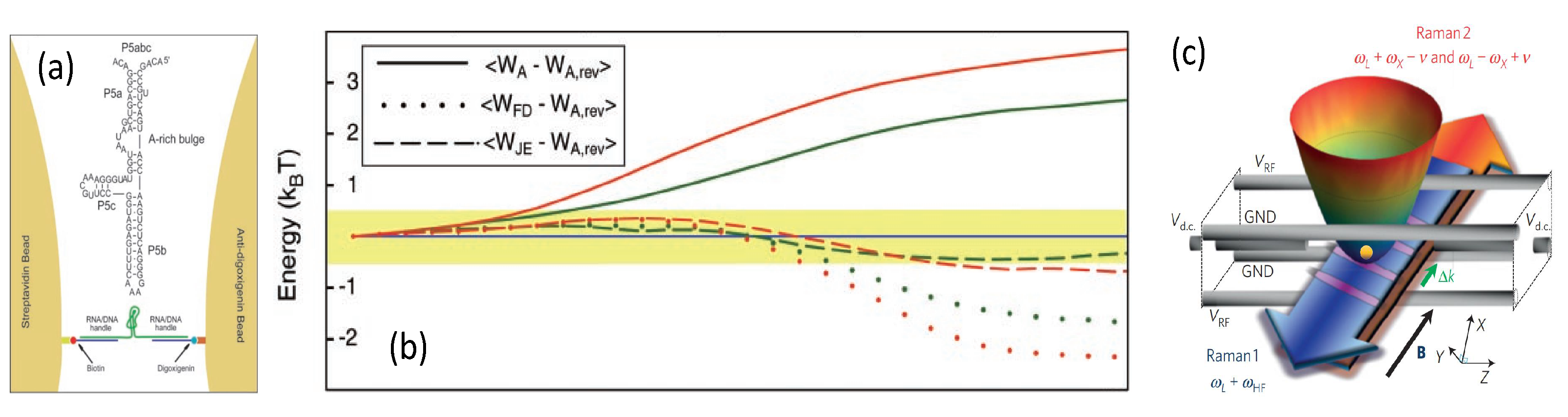 Entropy 24 00813 g010 Entropy 24 00813 g010