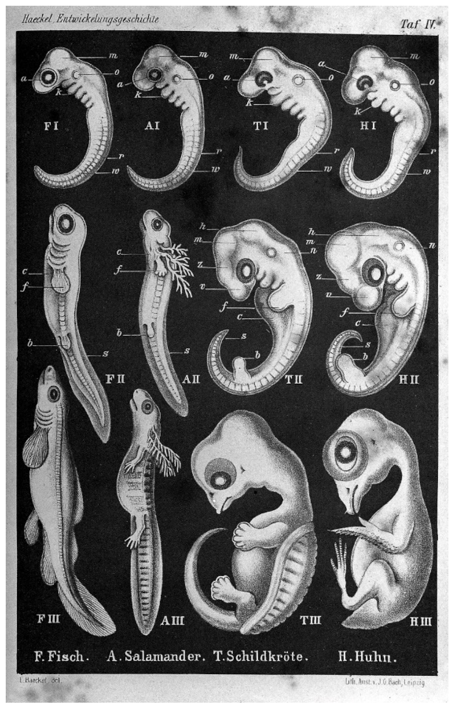 Entropy 24 00879 g001 550