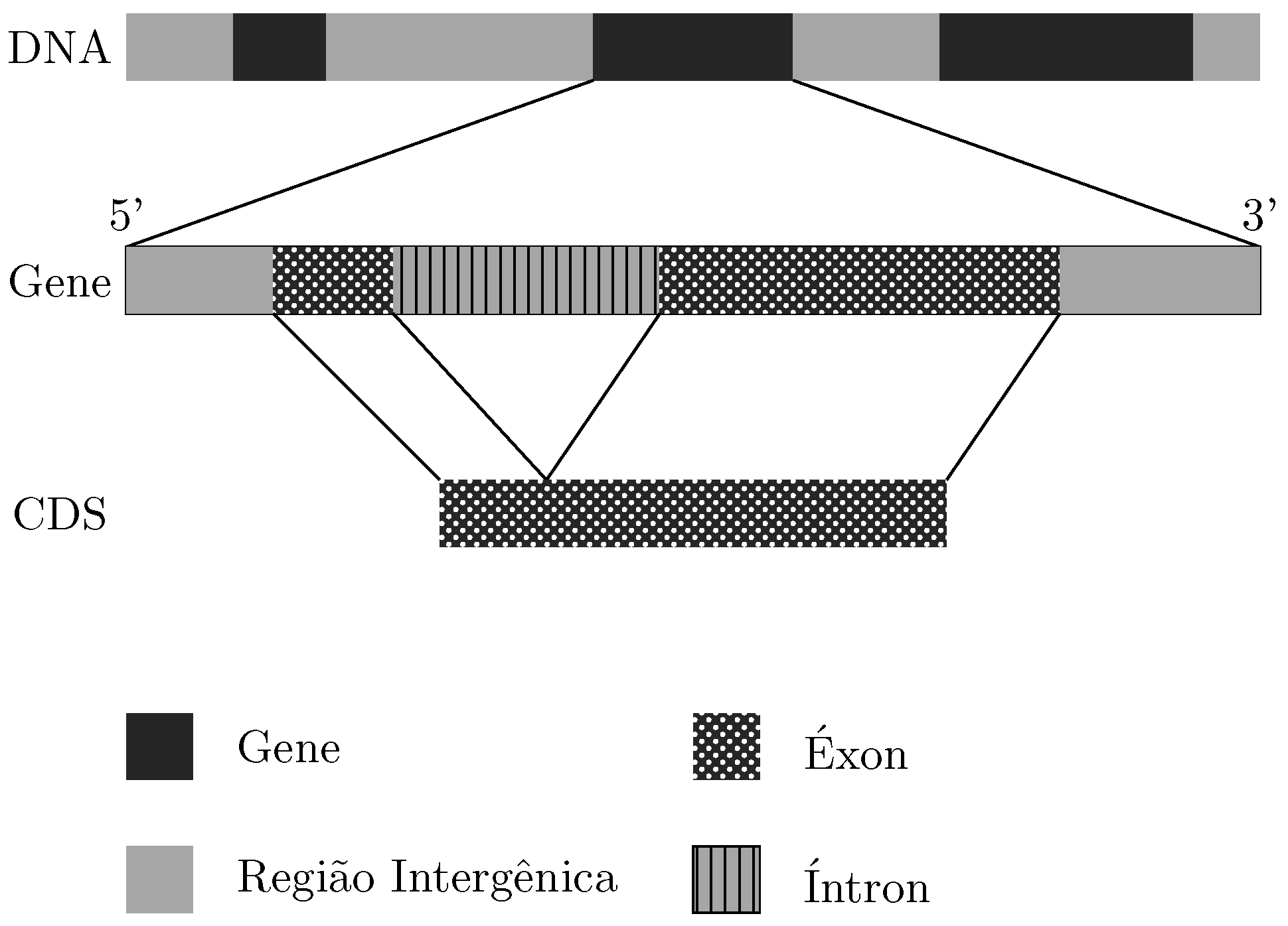 Entropy 24 00978 g001 550