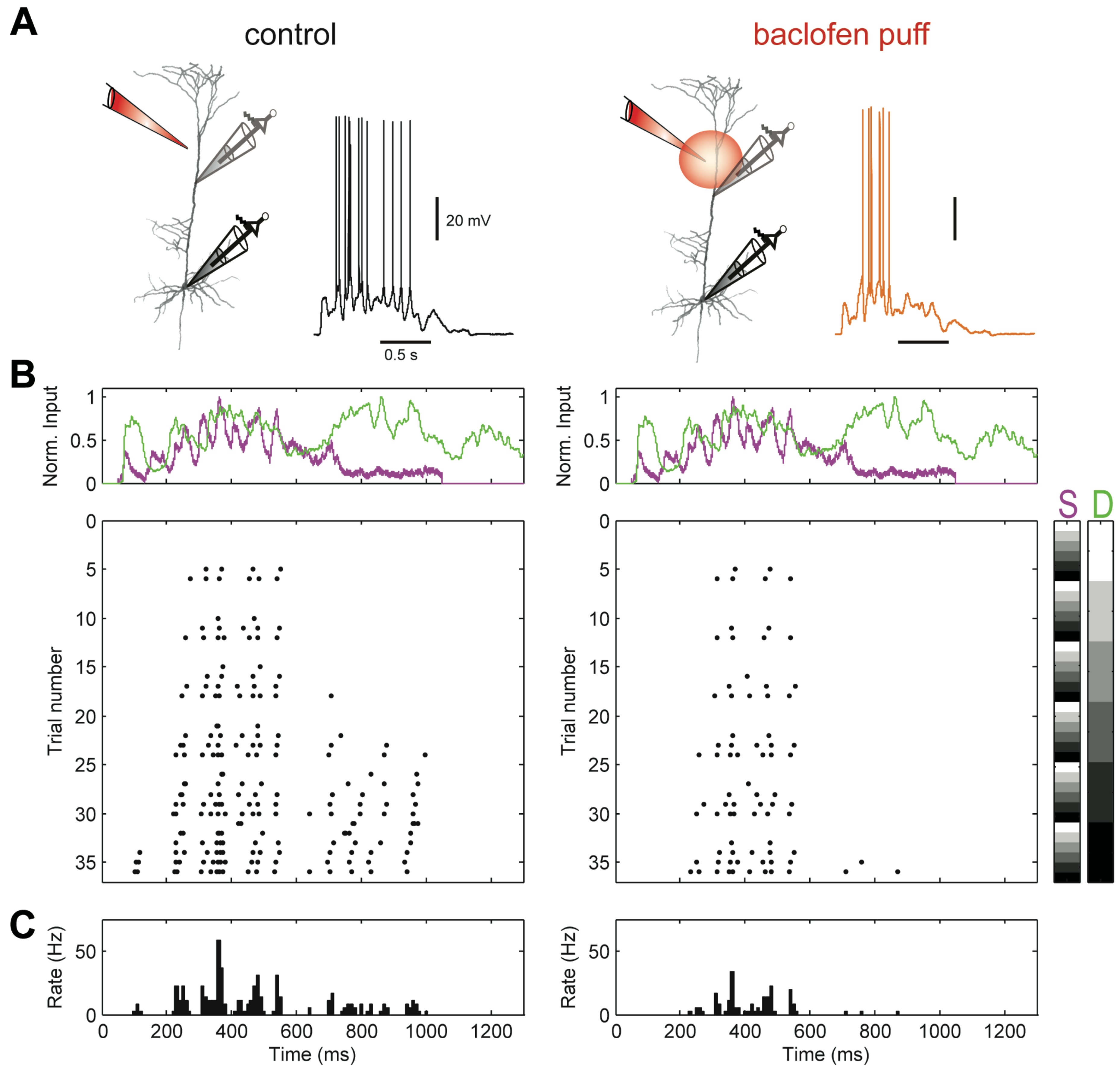 Entropy 24 01021 g002 550