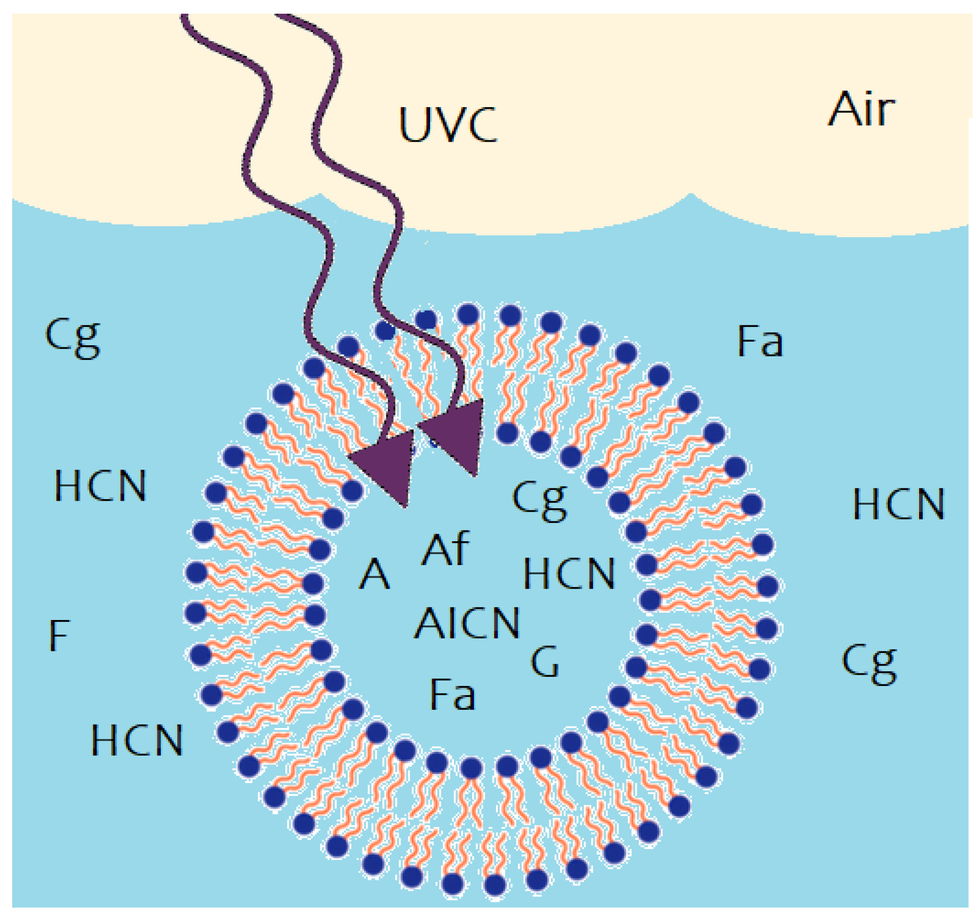 Entropy 24 01027 g002