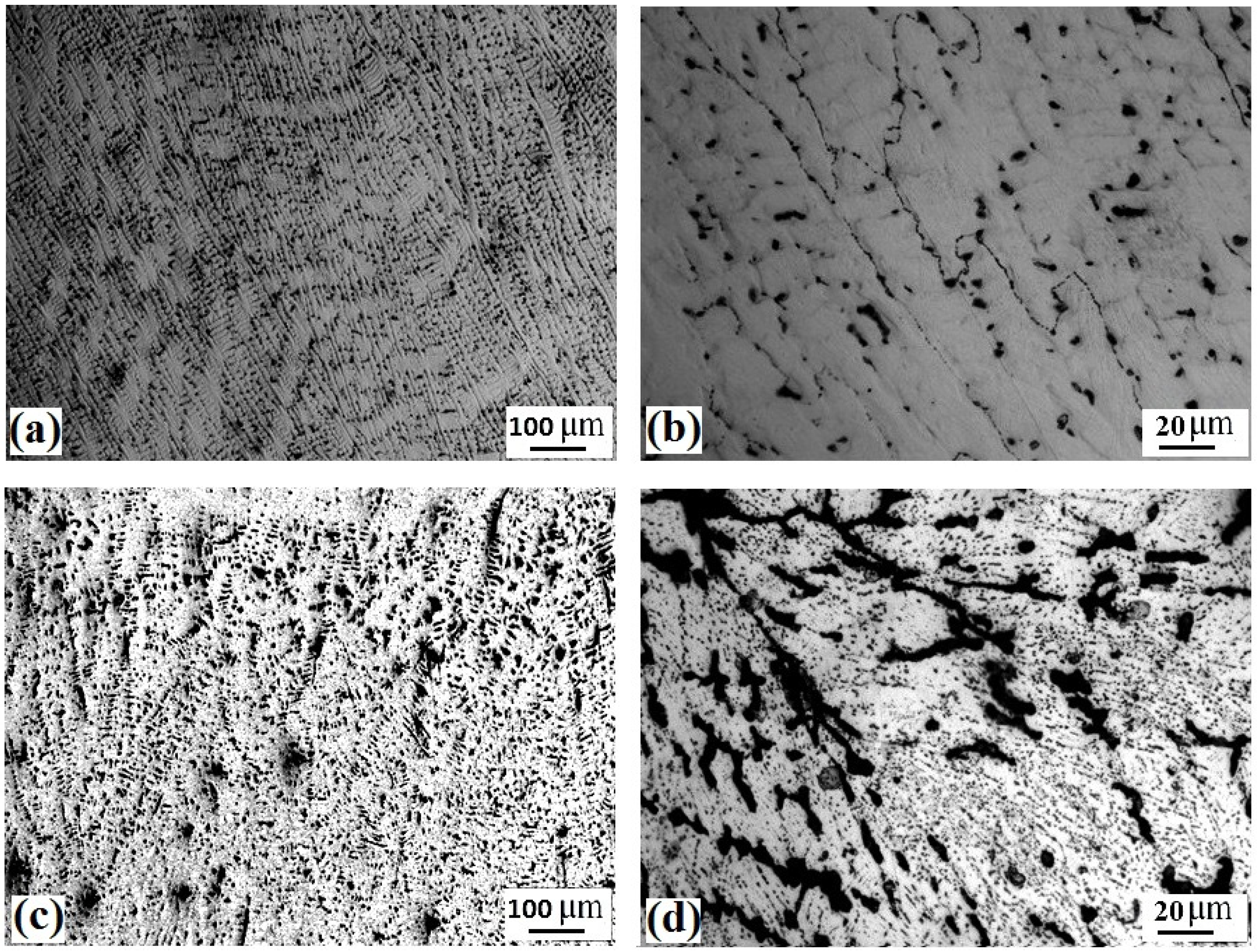 Entropy 24 01040 g003
