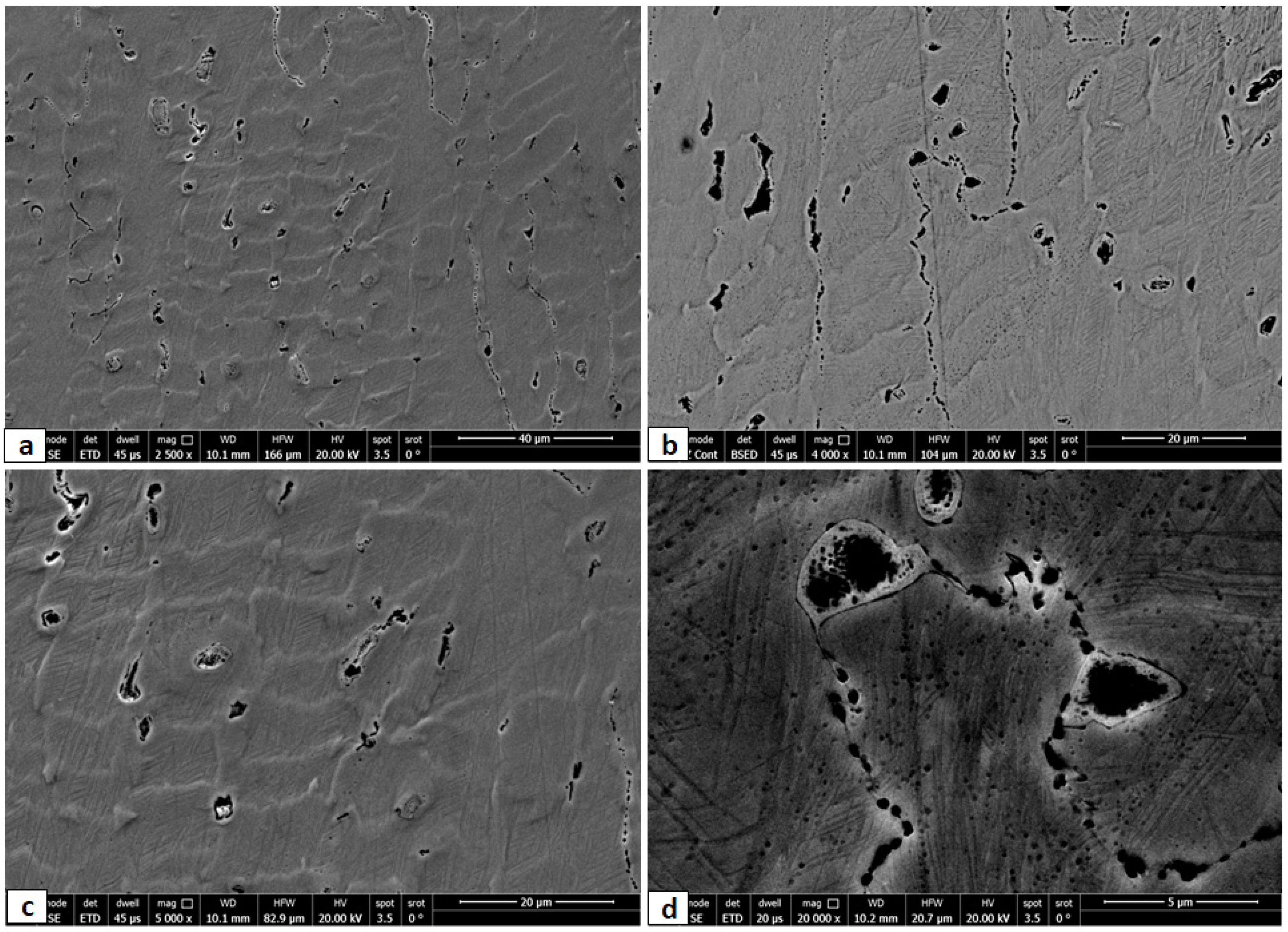 Entropy 24 01040 g004