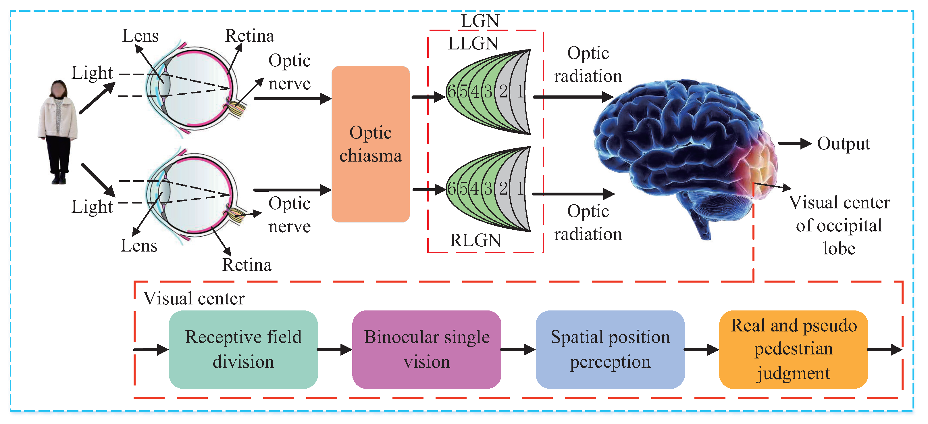 Entropy 24 01091 g001 550