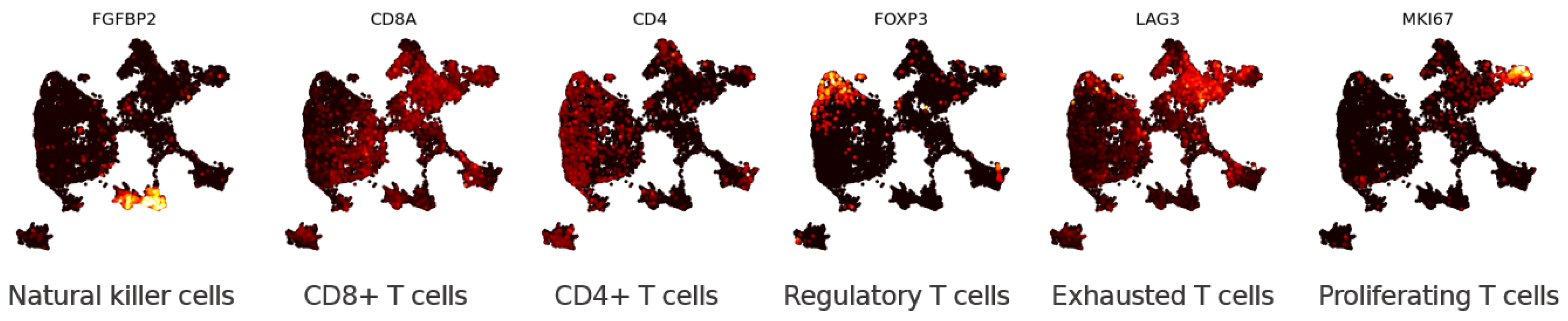 Entropy 24 01116 g005