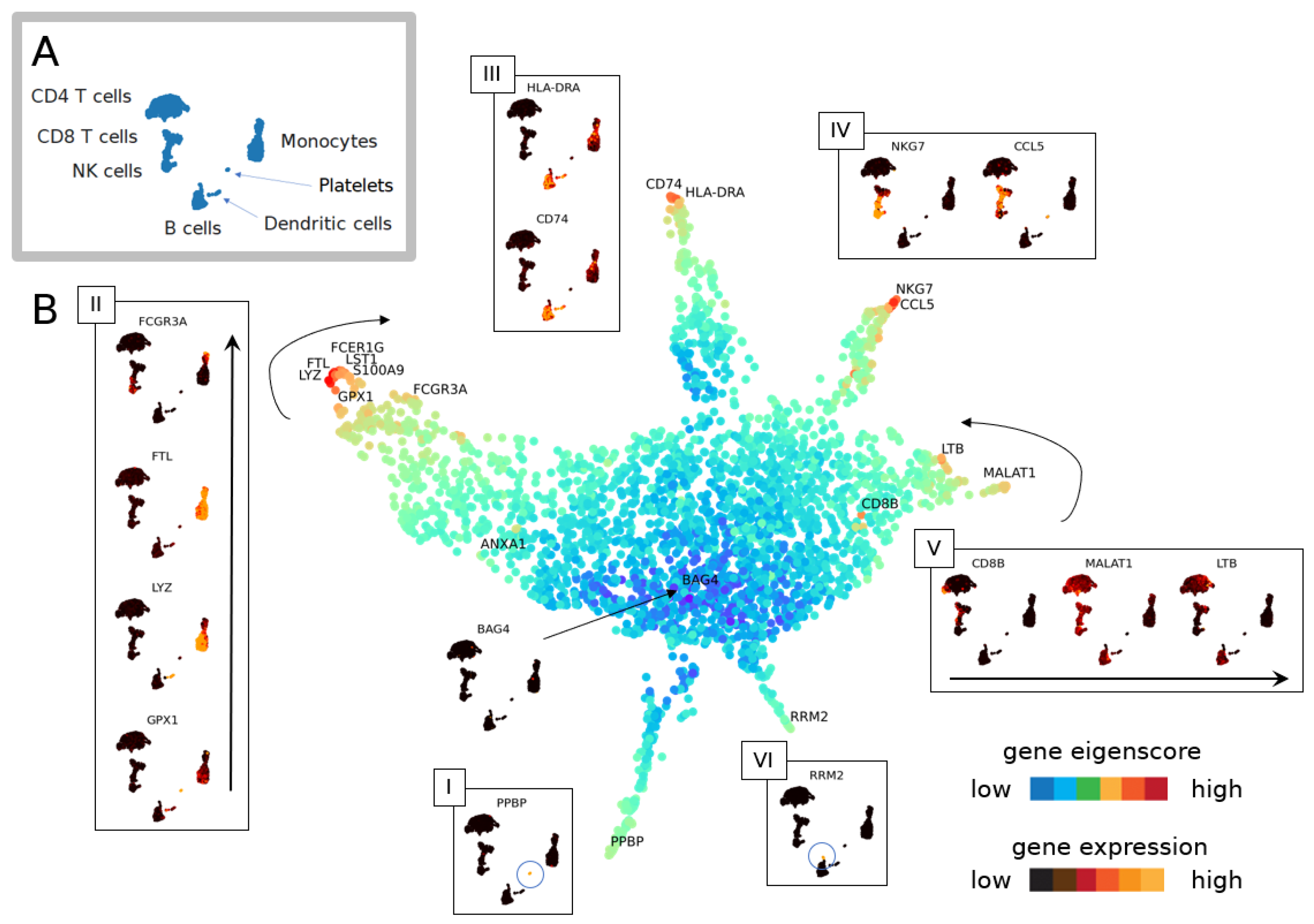 Entropy 24 01116 g006