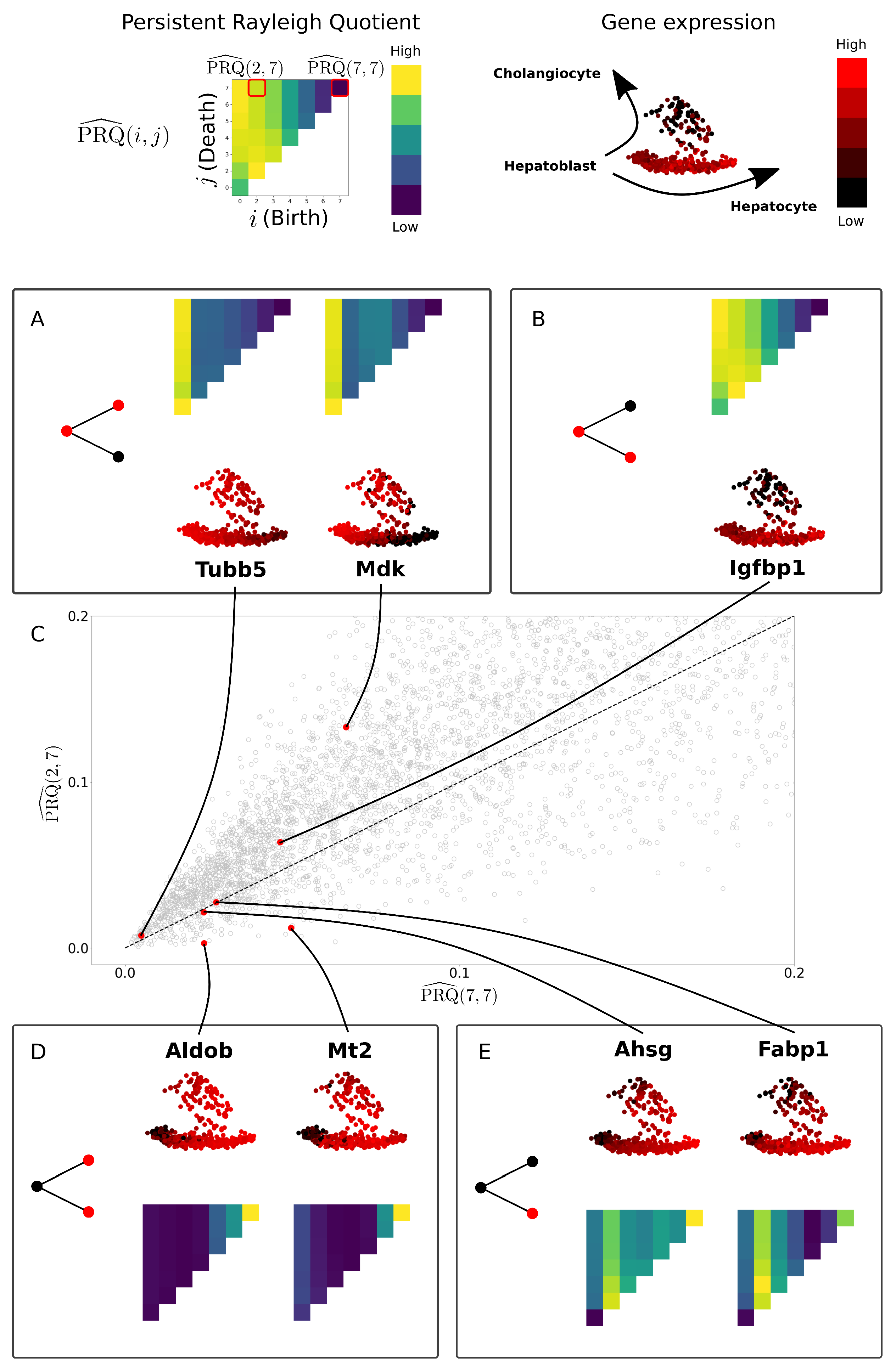 Entropy 24 01116 g011