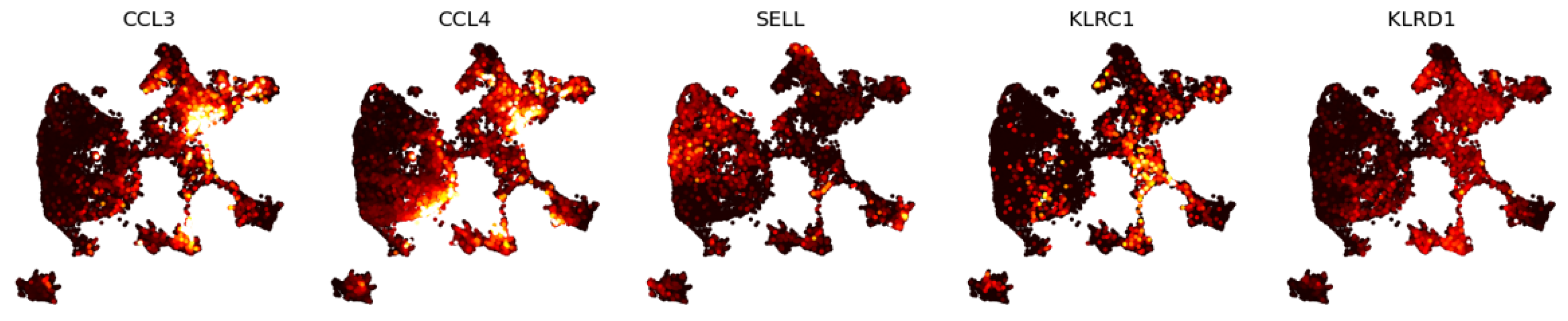 Entropy 24 01116 g0a3