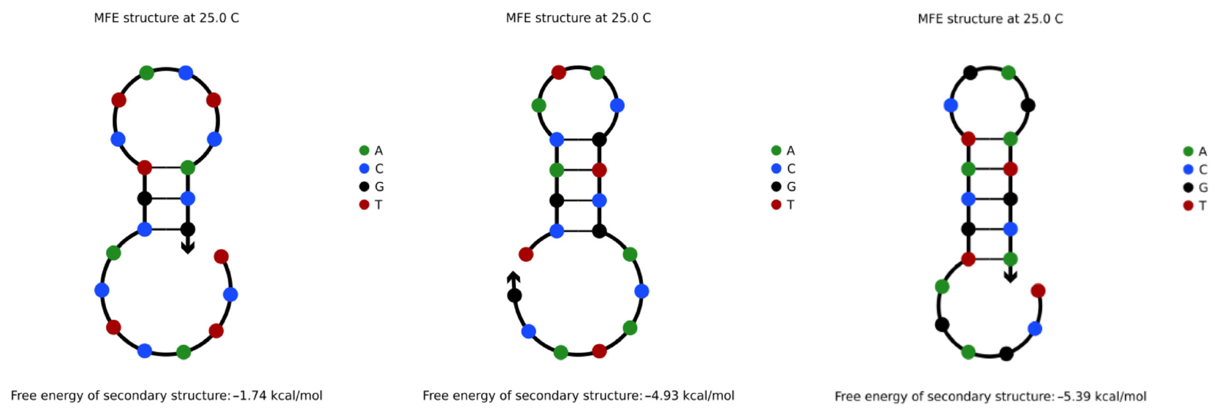 Entropy 24 01151 g003