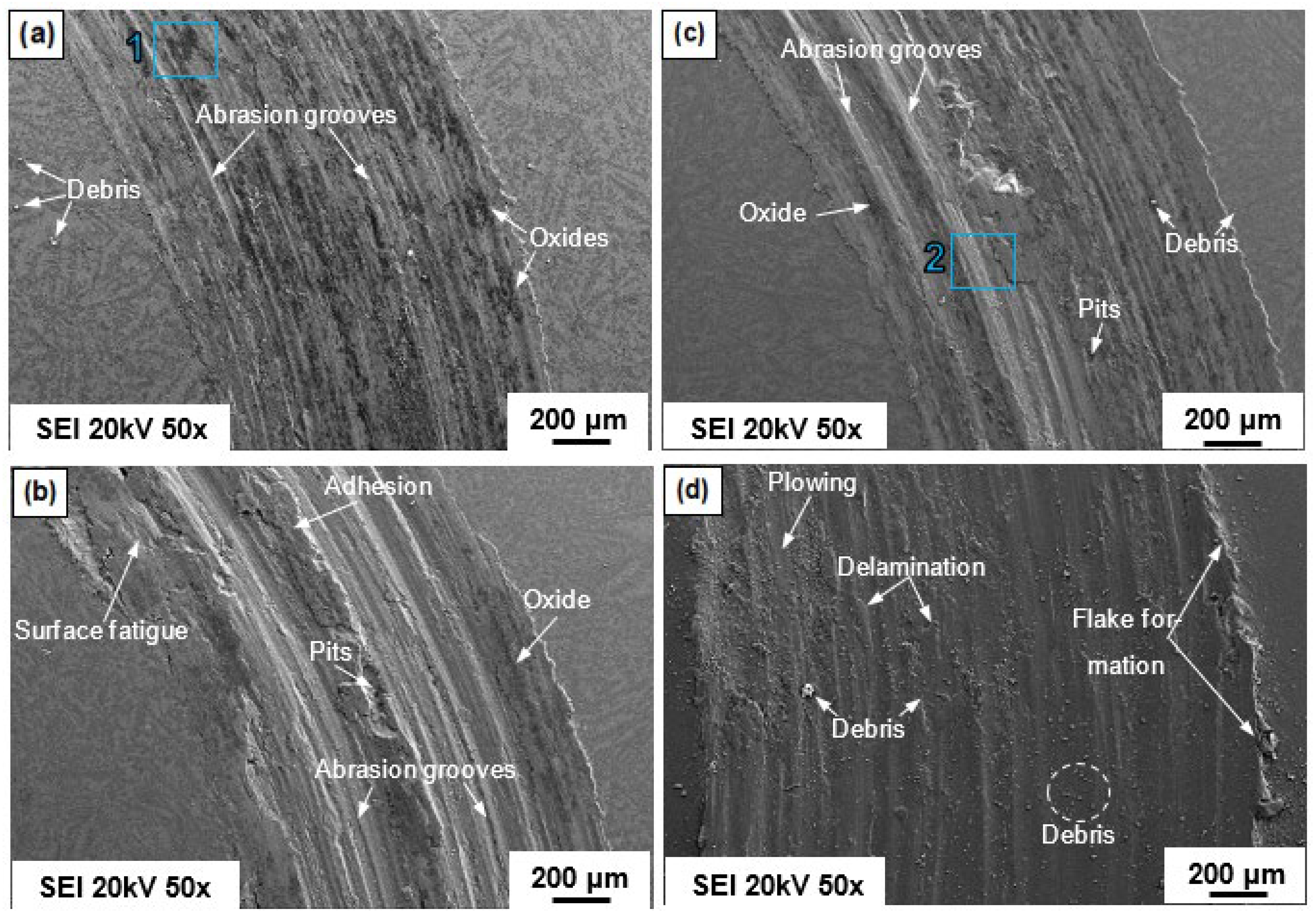 Entropy 24 01195 g011