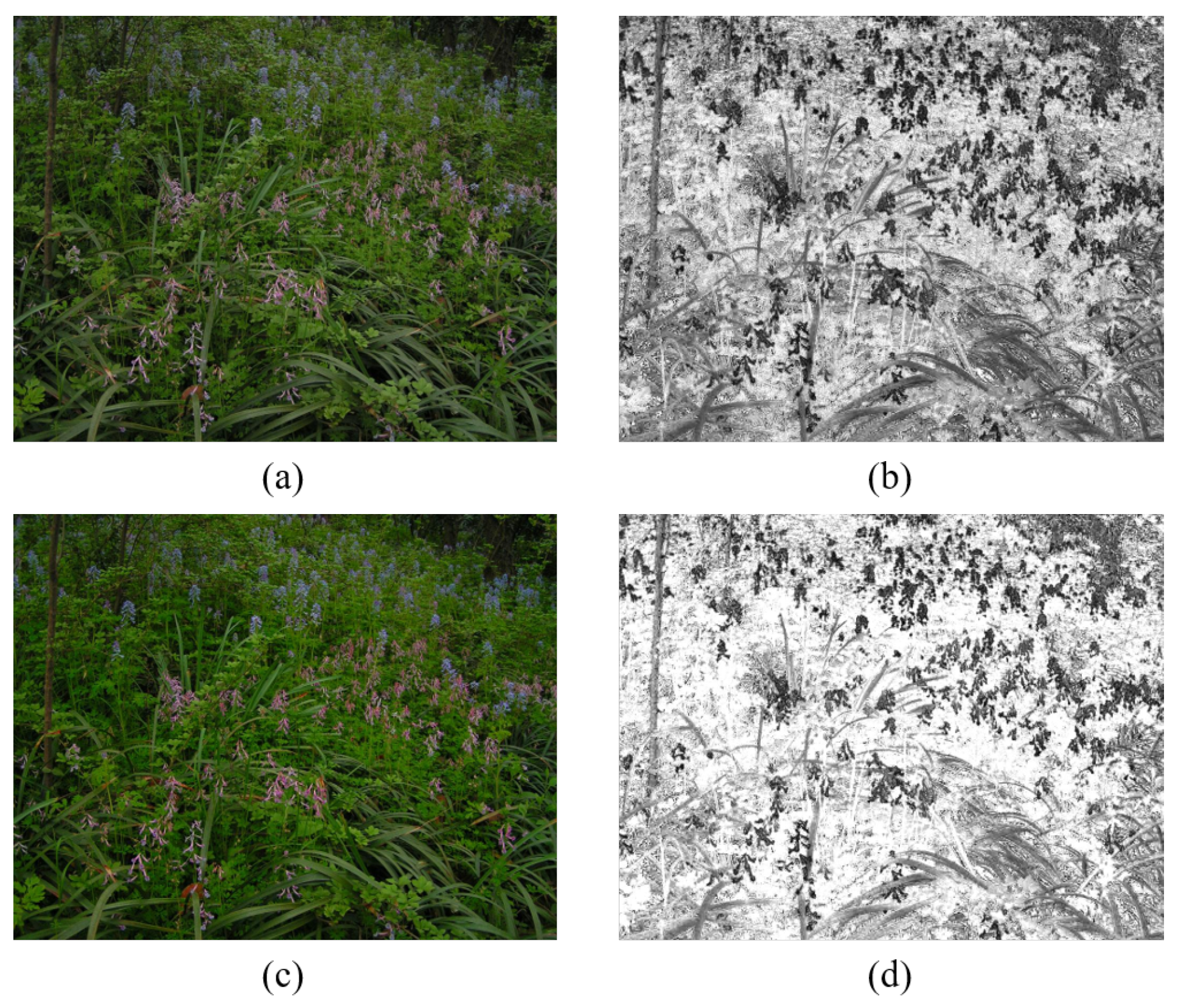 Entropy 24 01267 g005 550