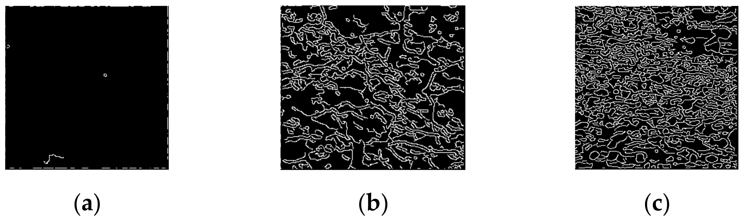 Entropy 24 01304 g004 550