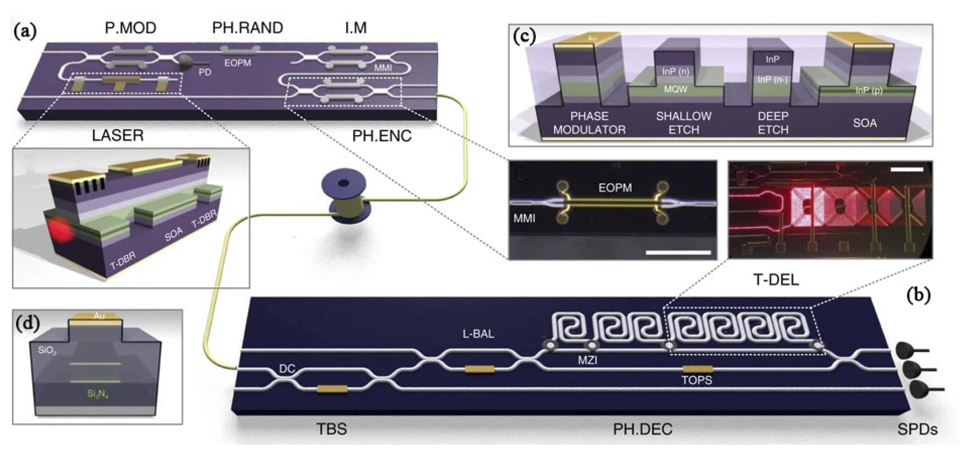 Entropy Free FullText Advances in ChipBased Quantum Key Distribution