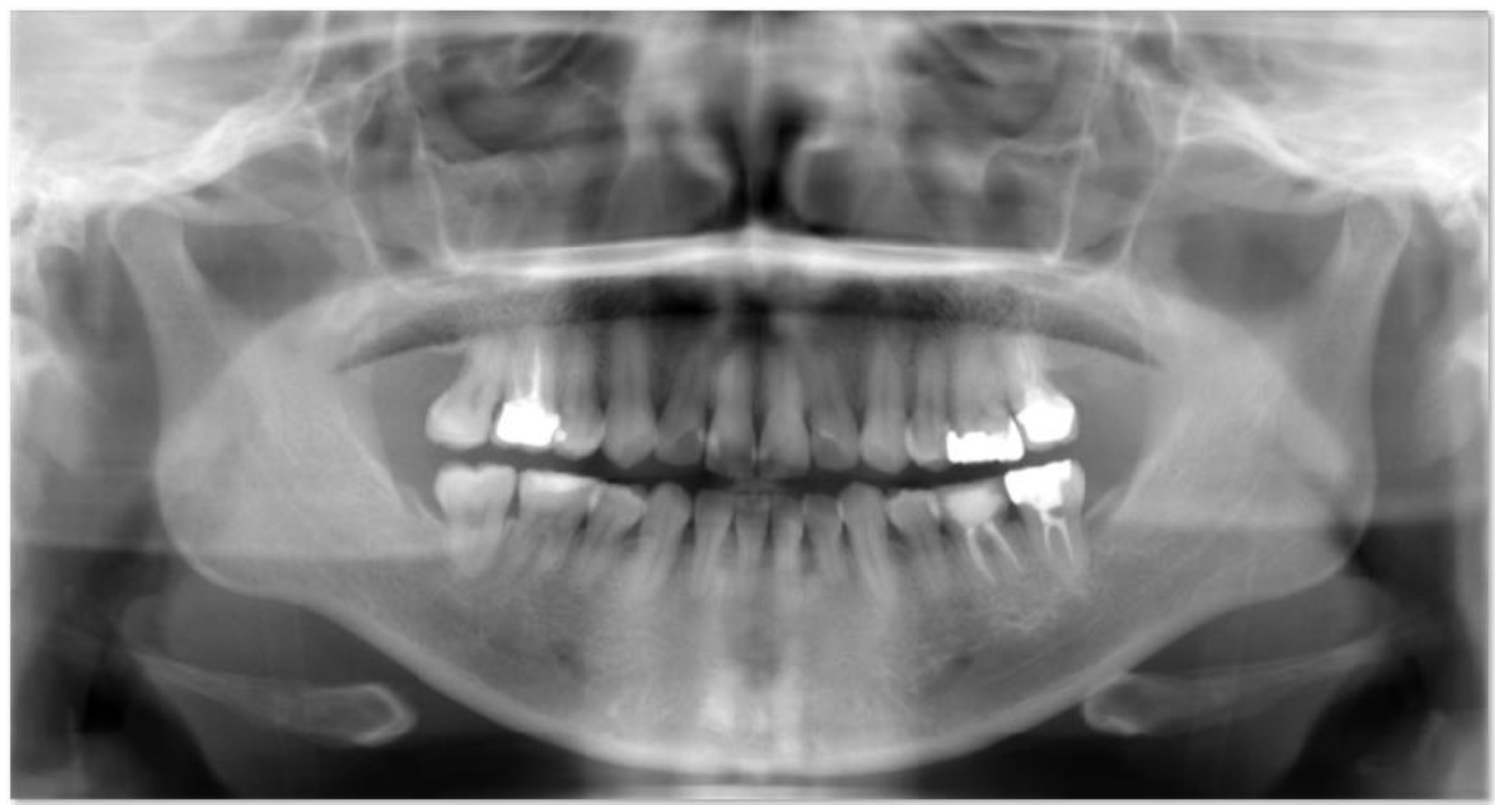 Entropy 24 01358 g002