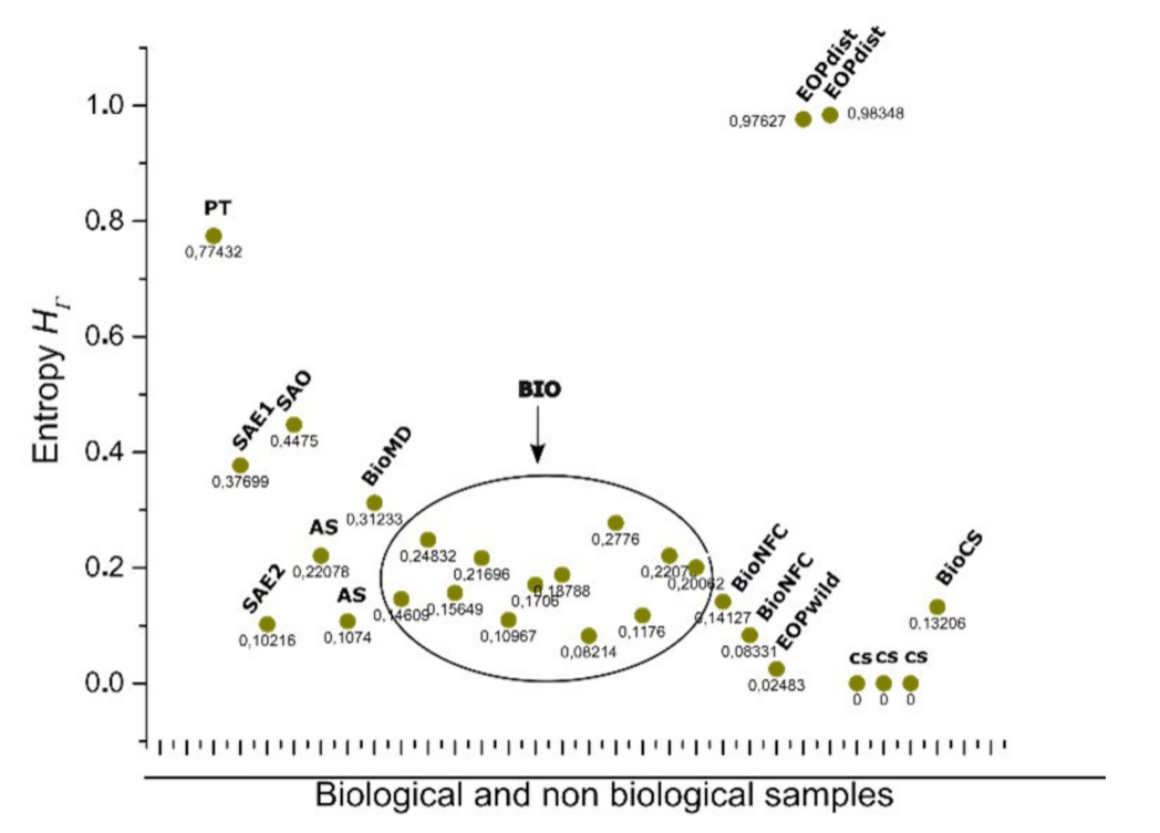Entropy 24 01390 g010