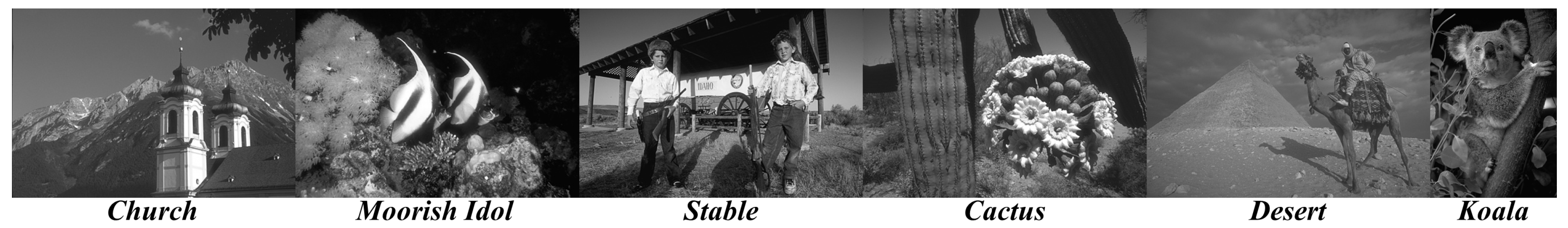 Entropy 24 01518 g007 Entropy 24 01518 g007