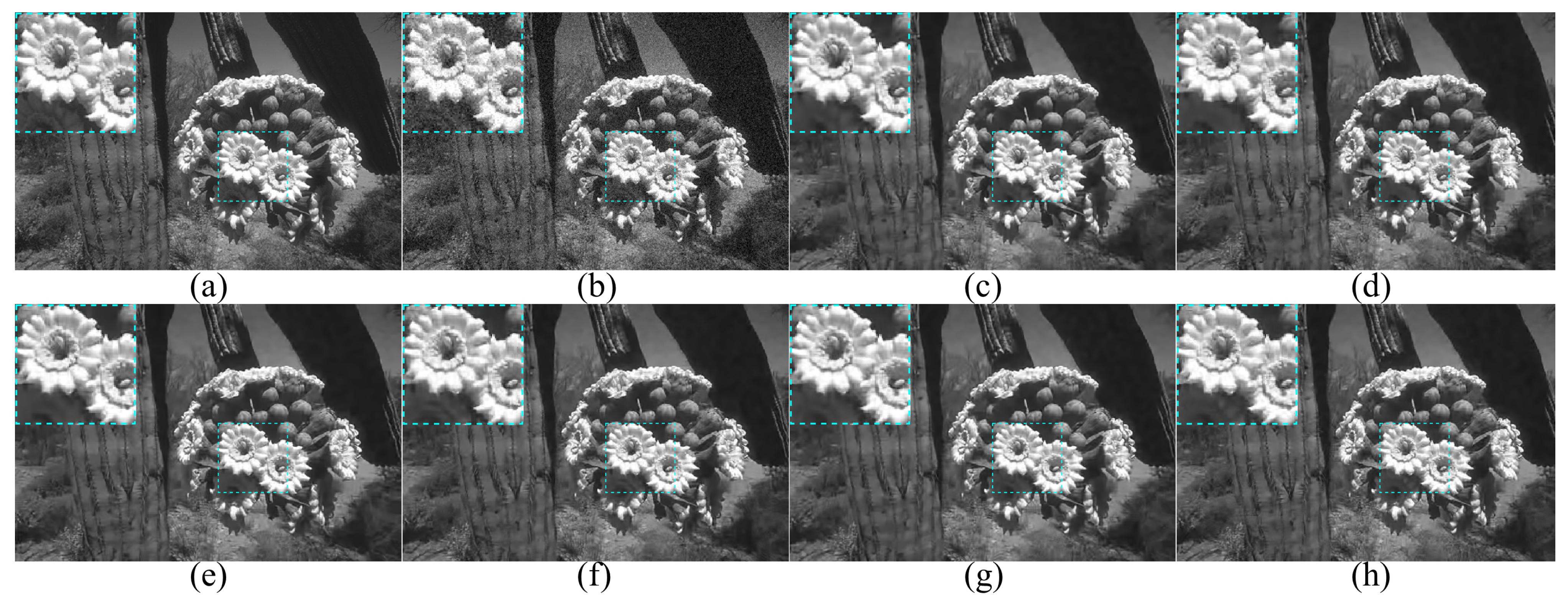 Entropy 24 01518 g009 Entropy 24 01518 g009