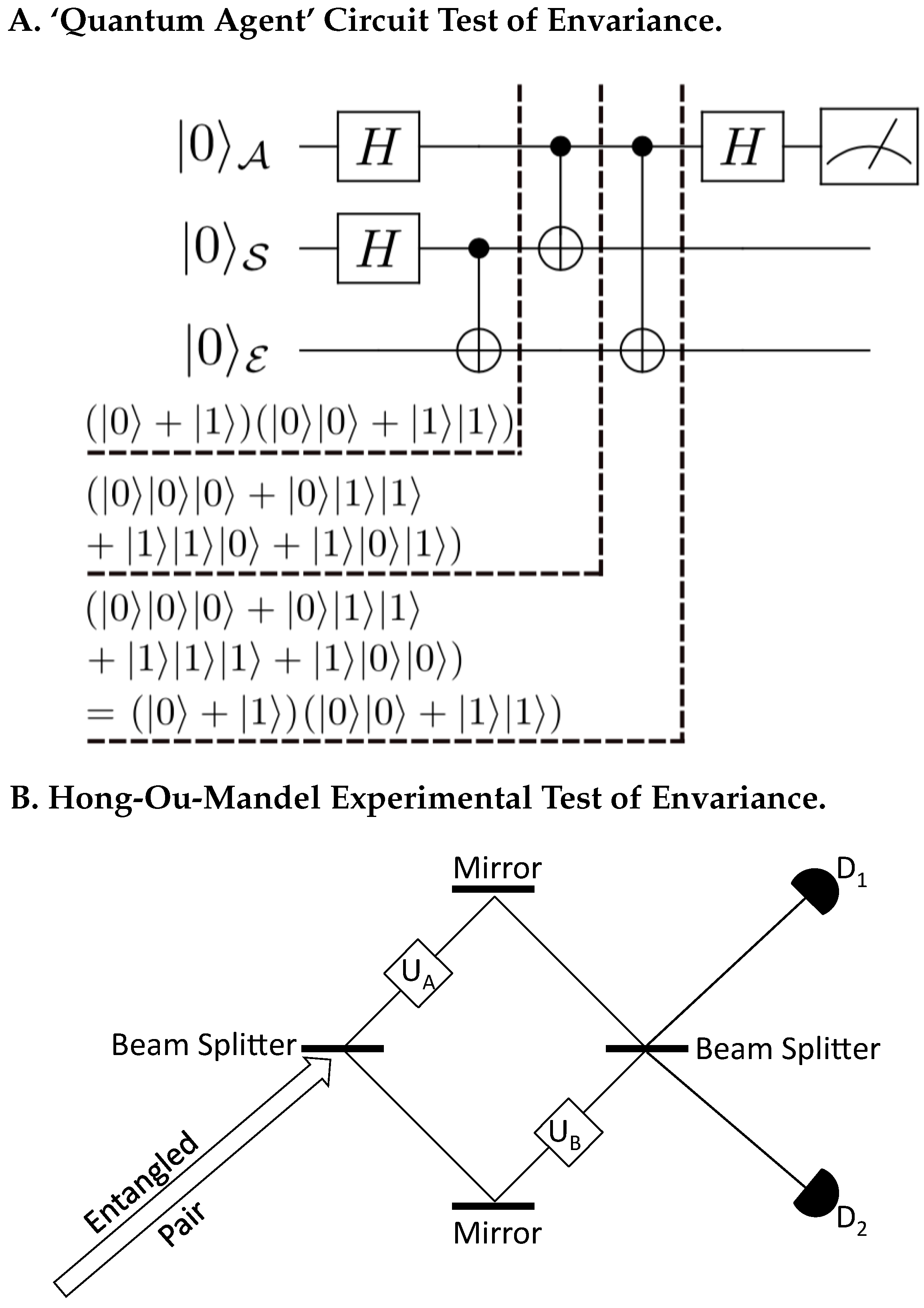 Entropy 24 01520 g003