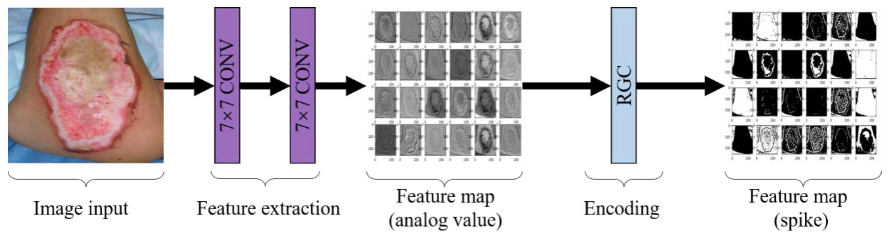 Entropy 24 01526 g007 Entropy 24 01526 g007