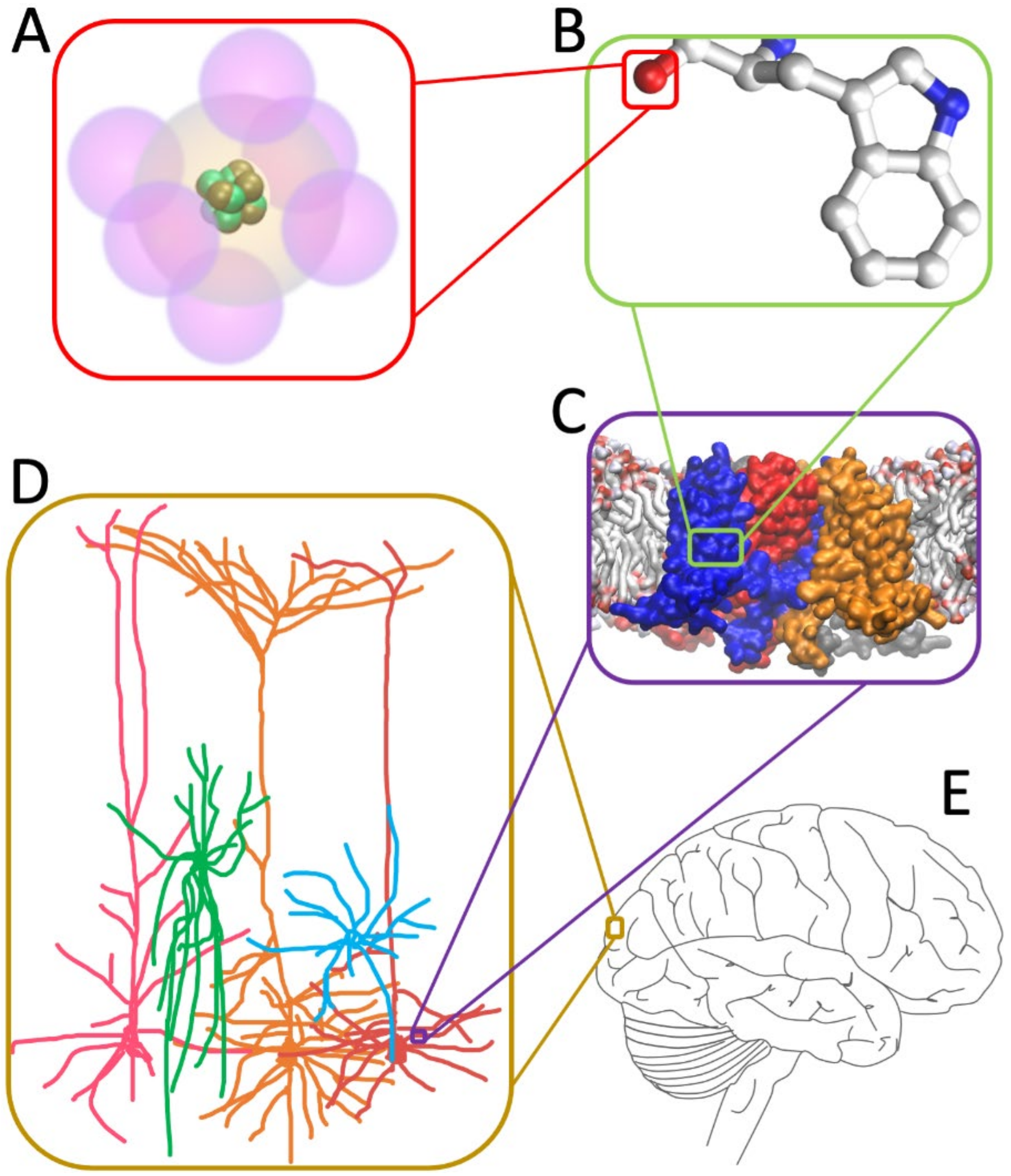 Entropy 24 01539 g003