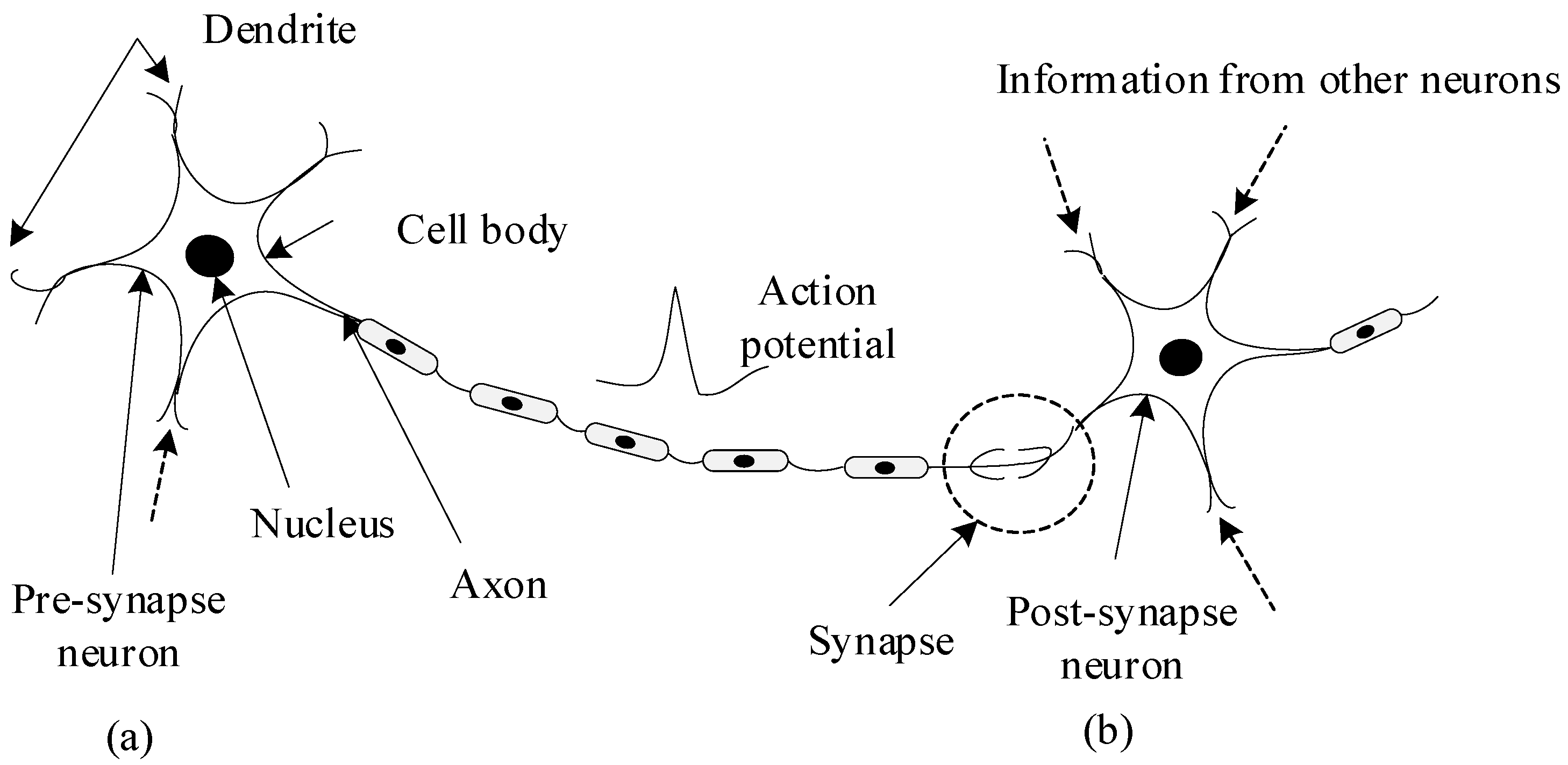 Entropy 24 01543 g002