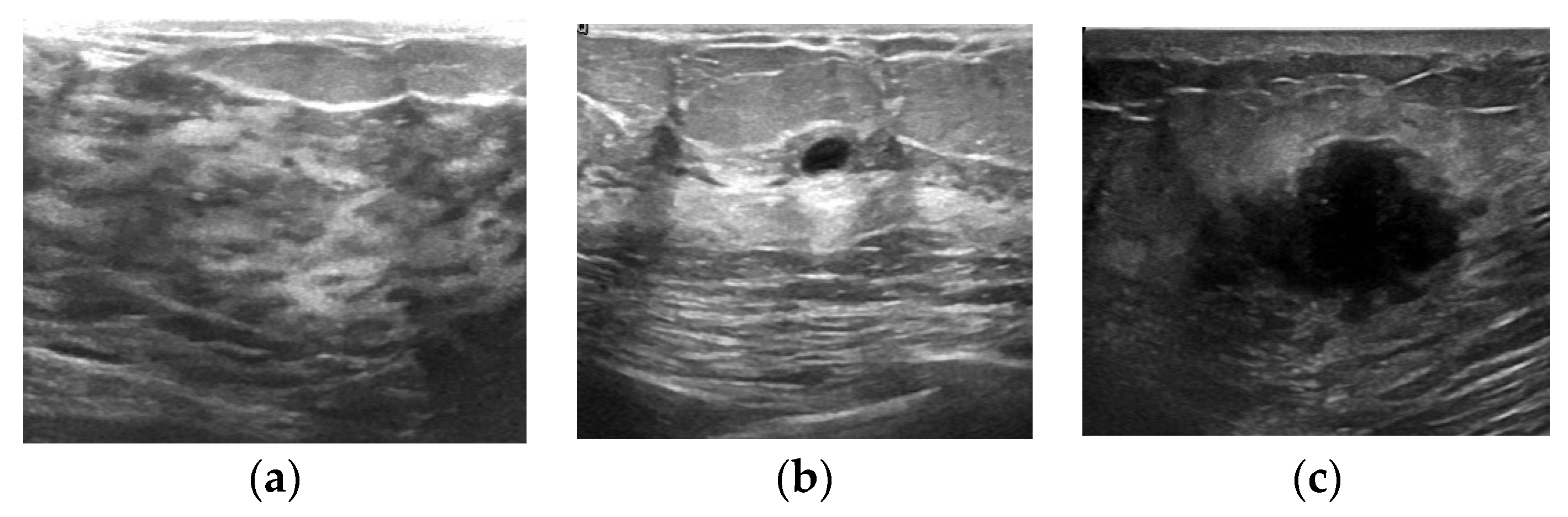 Entropy 24 01543 g007