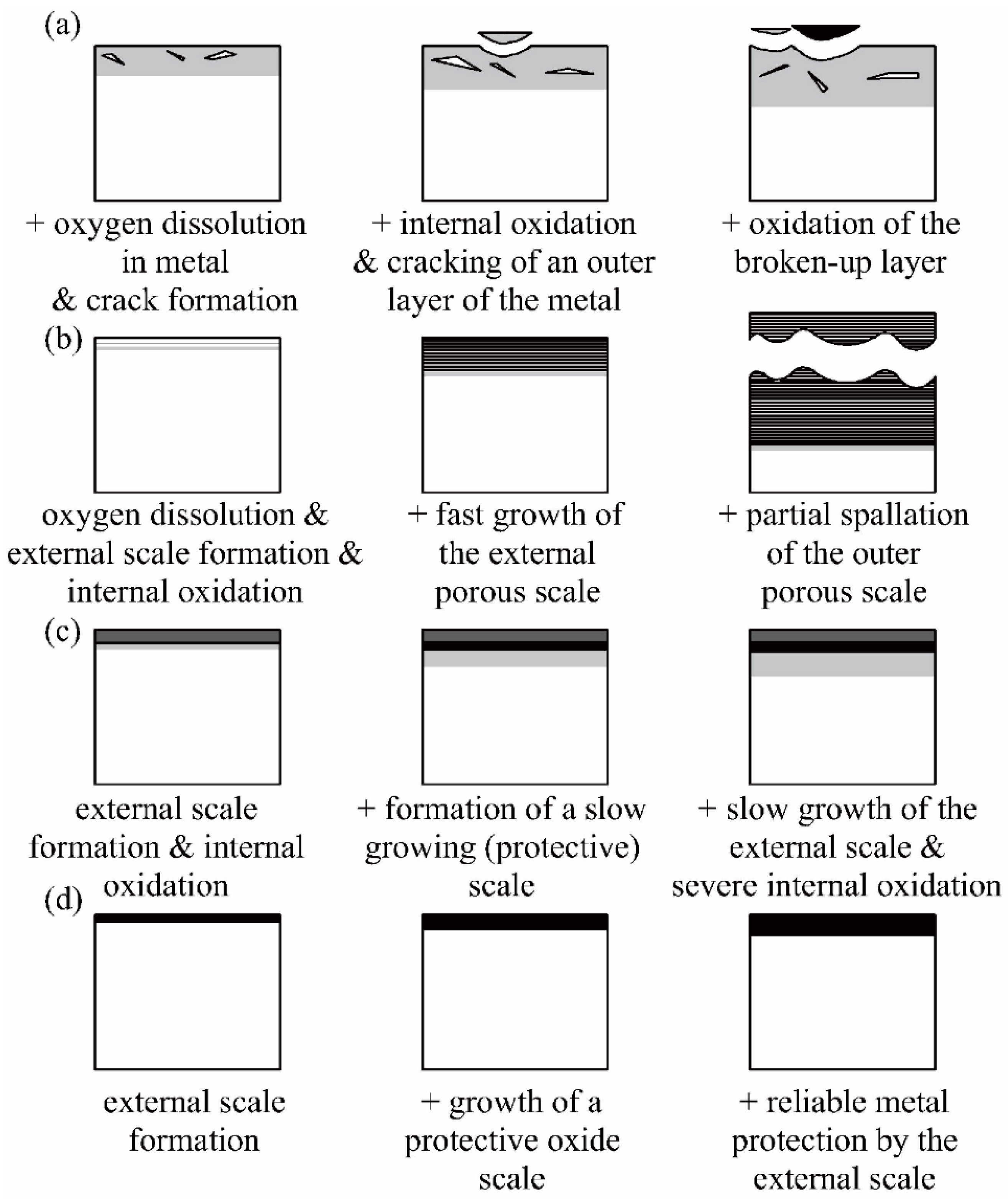 Entropy 24 01553 g017