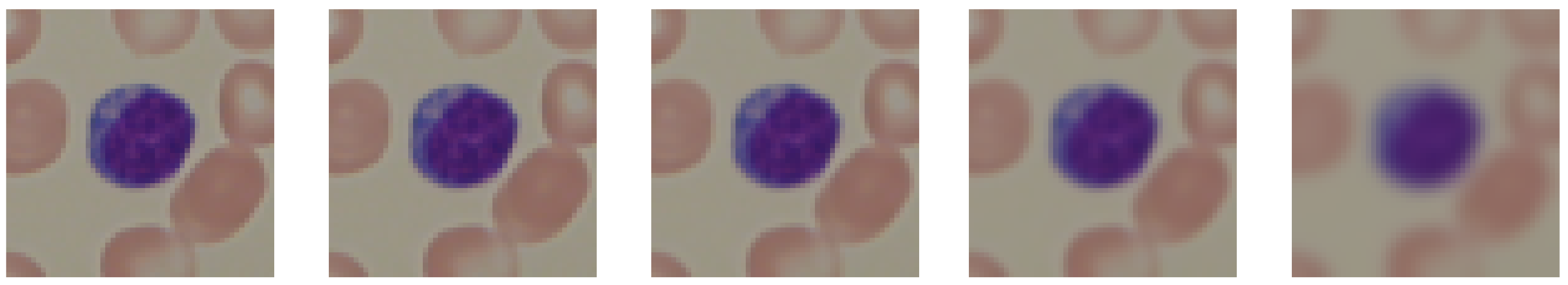 Entropy 24 01560 g002