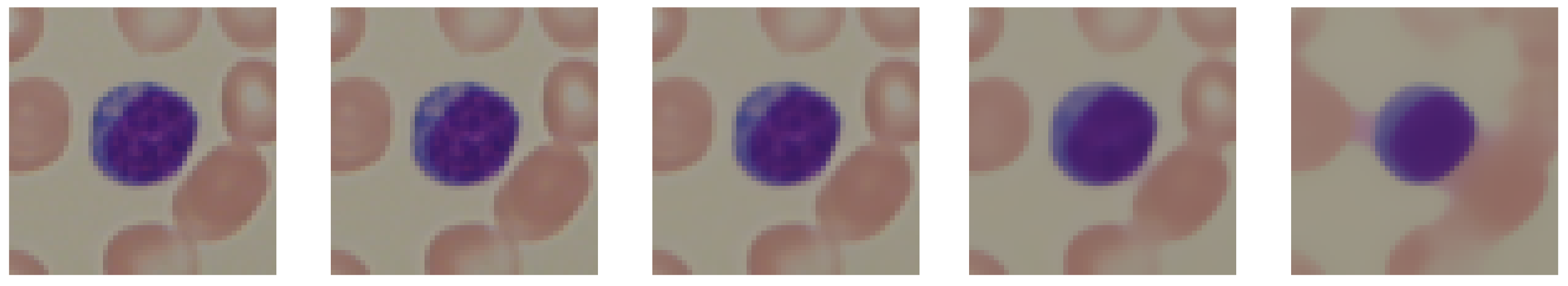 Entropy 24 01560 g003