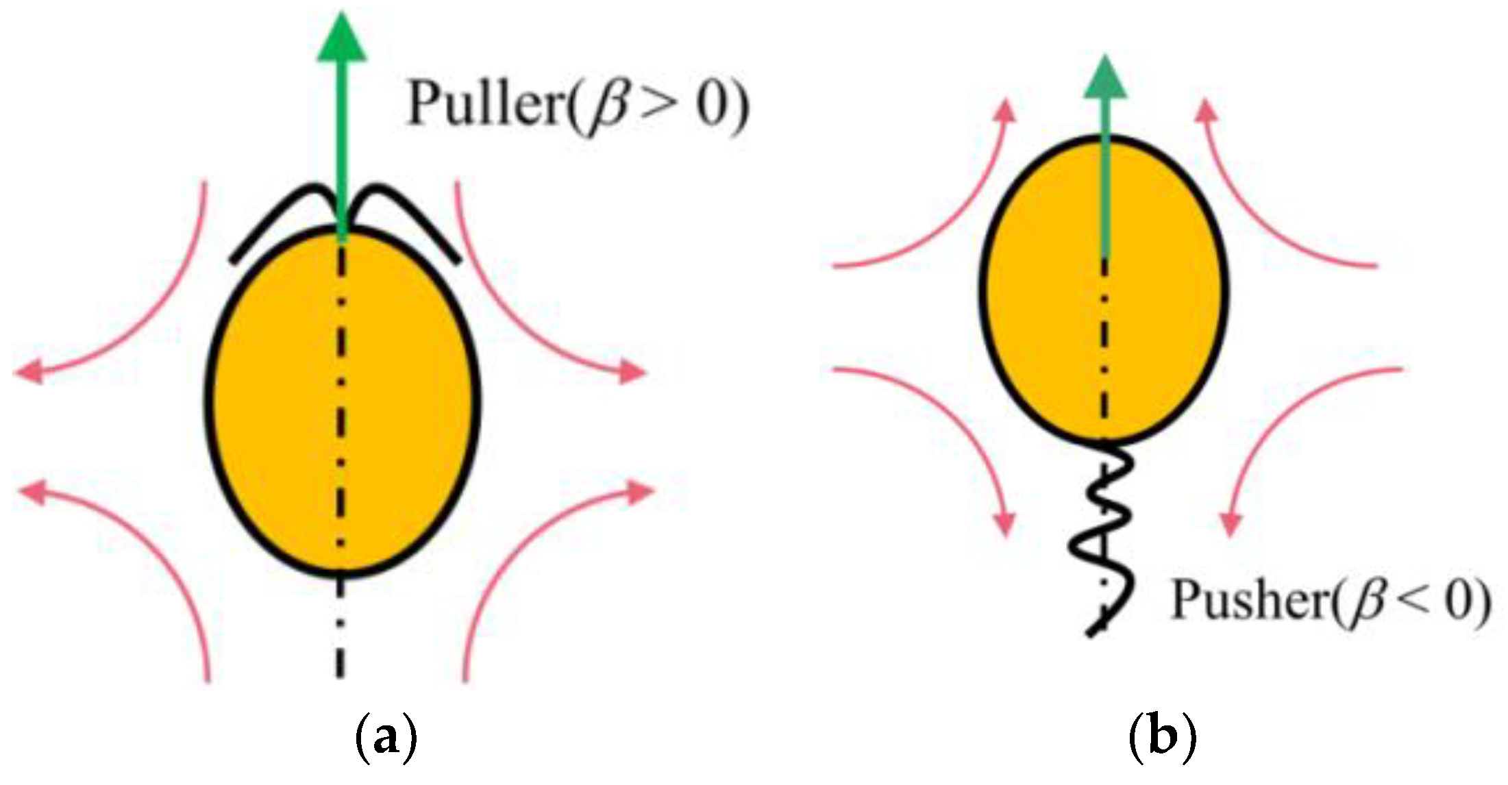 Entropy 24 01564 g002 Entropy 24 01564 g002