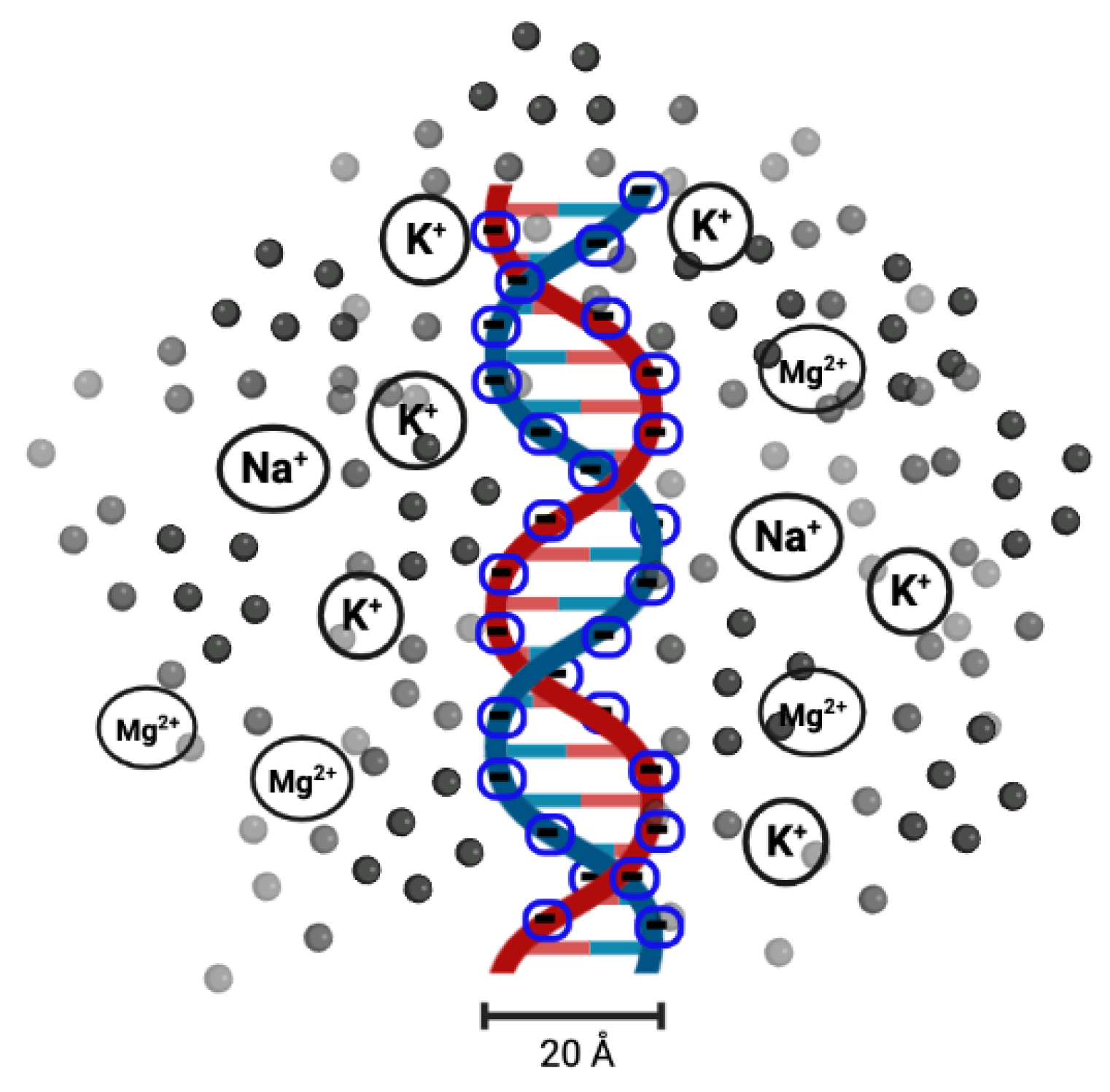 Entropy 24 01587 g003