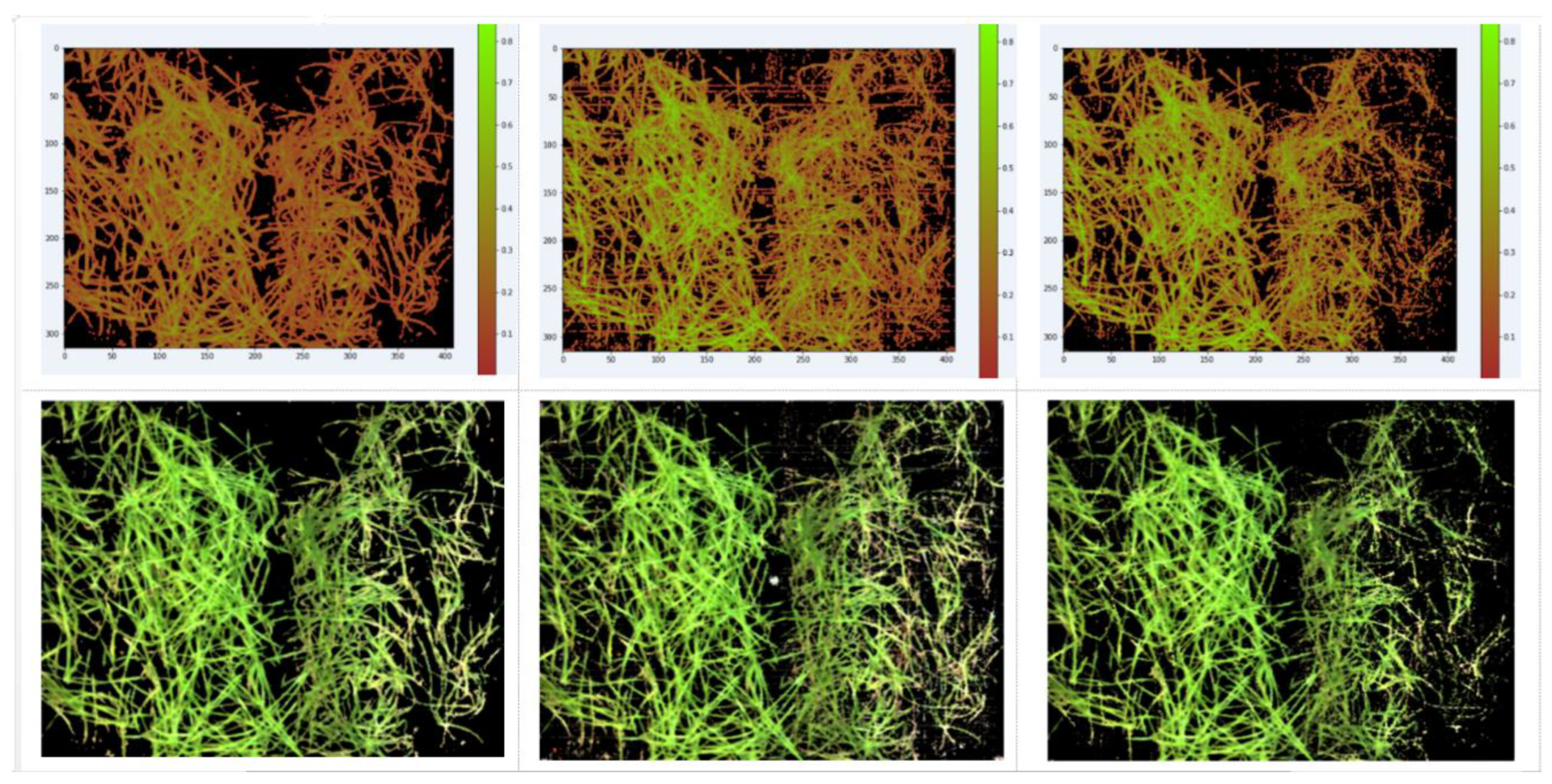 Entropy 24 01597 g002 Entropy 24 01597 g002
